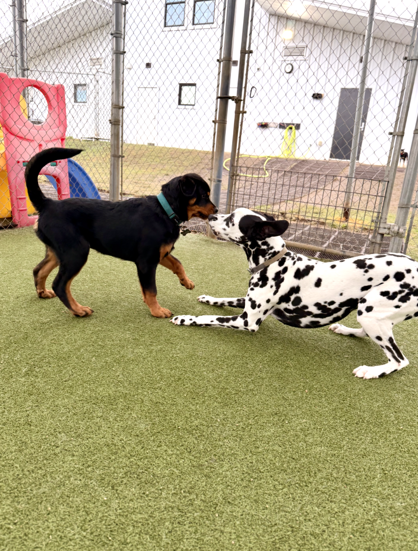 Screenshot 2025-12-10 at 10.42.58 AM.png