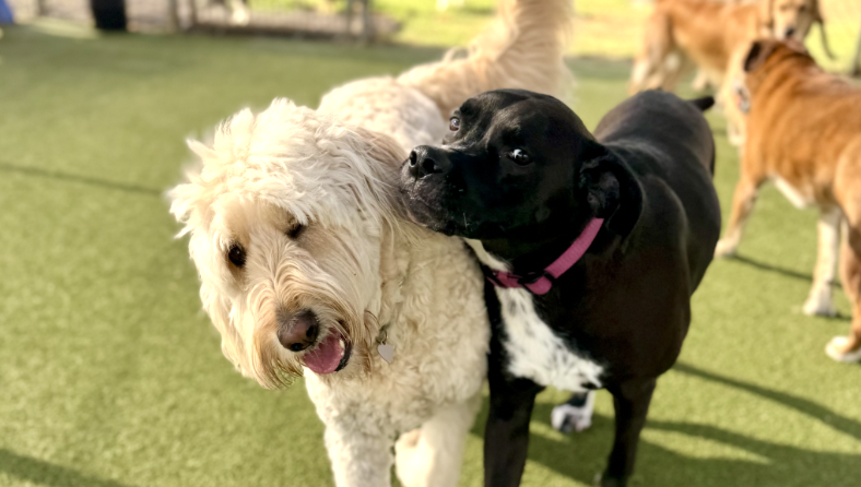 Screenshot 2025-12-10 at 9.47.09 AM.png