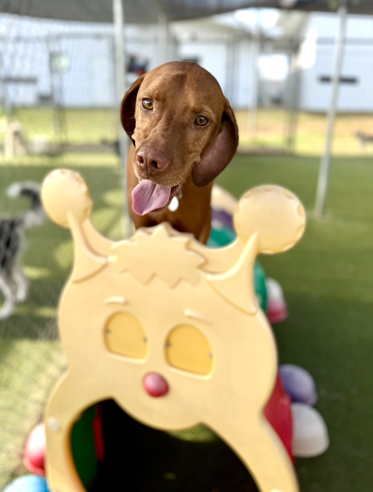 Screenshot 2025-12-10 at 11.00.17 AM.png