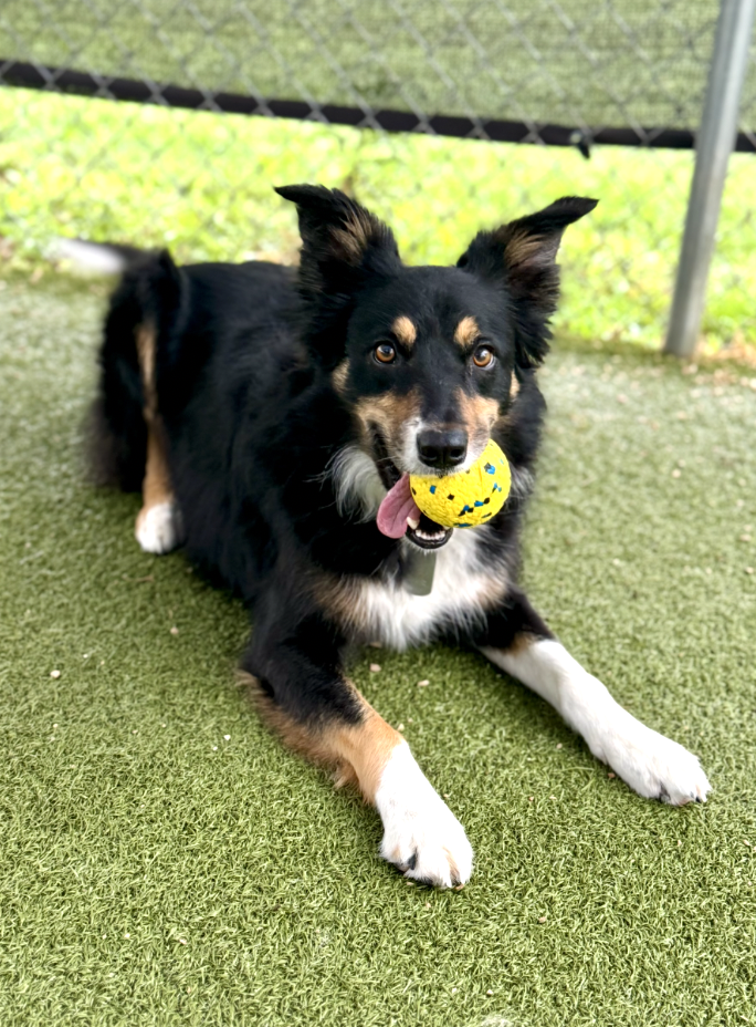 Screenshot 2025-12-10 at 11.01.29 AM.png