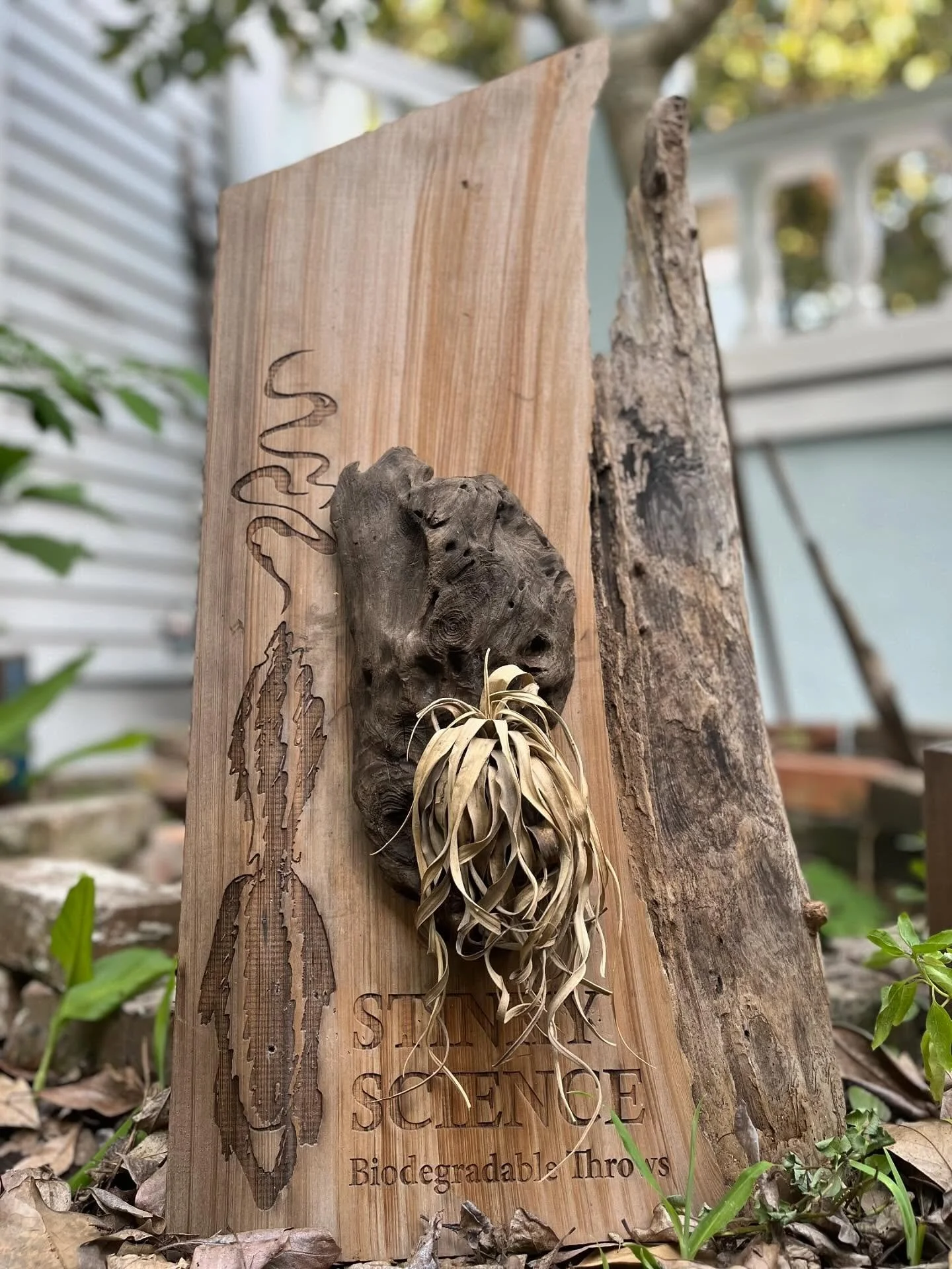 This is the time of year when Mardi Gras Krewes are attempting to figure out throws for the season. I&rsquo;m here to remind you that Stinky Science was the brainchild of two educators that focuses on environmental sustainability and health. Over the