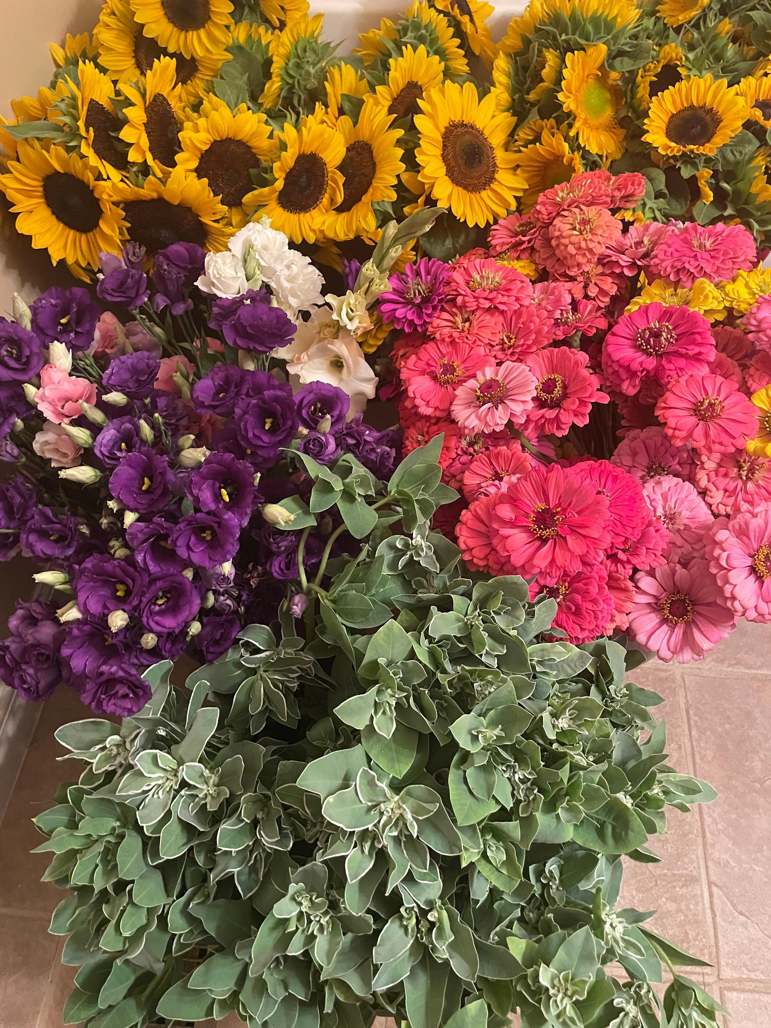 Four Financial Mistakes New Flower Farmers Make in Their Business