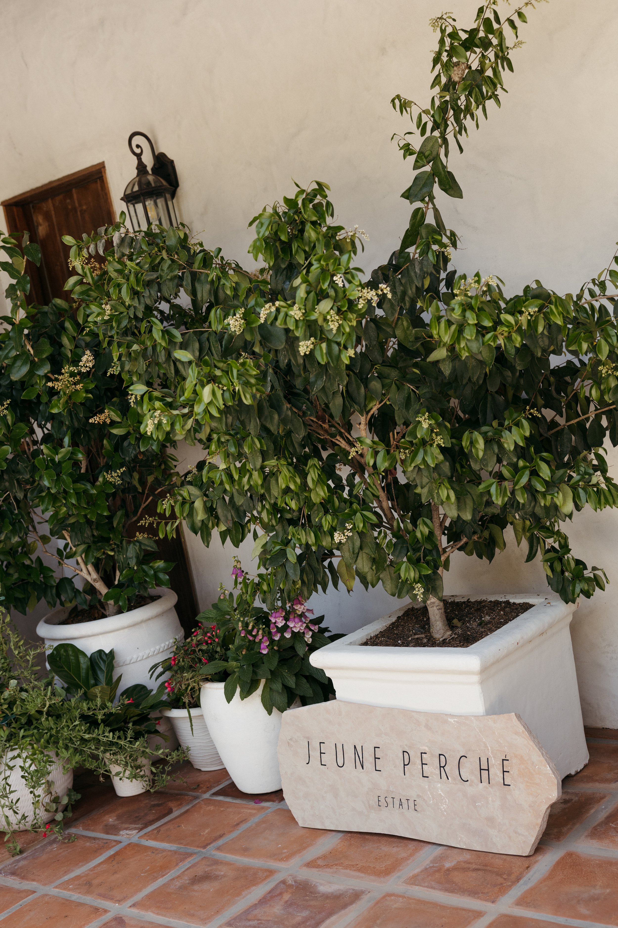 Jeune-perche-wedding-photographer-san-diego-fallbrook-california-documentary-luxury-editorial-elevated-fashion-whimsical-timeless-candid-film-analog-high-end-effortless-wedding-photos-003.jpg