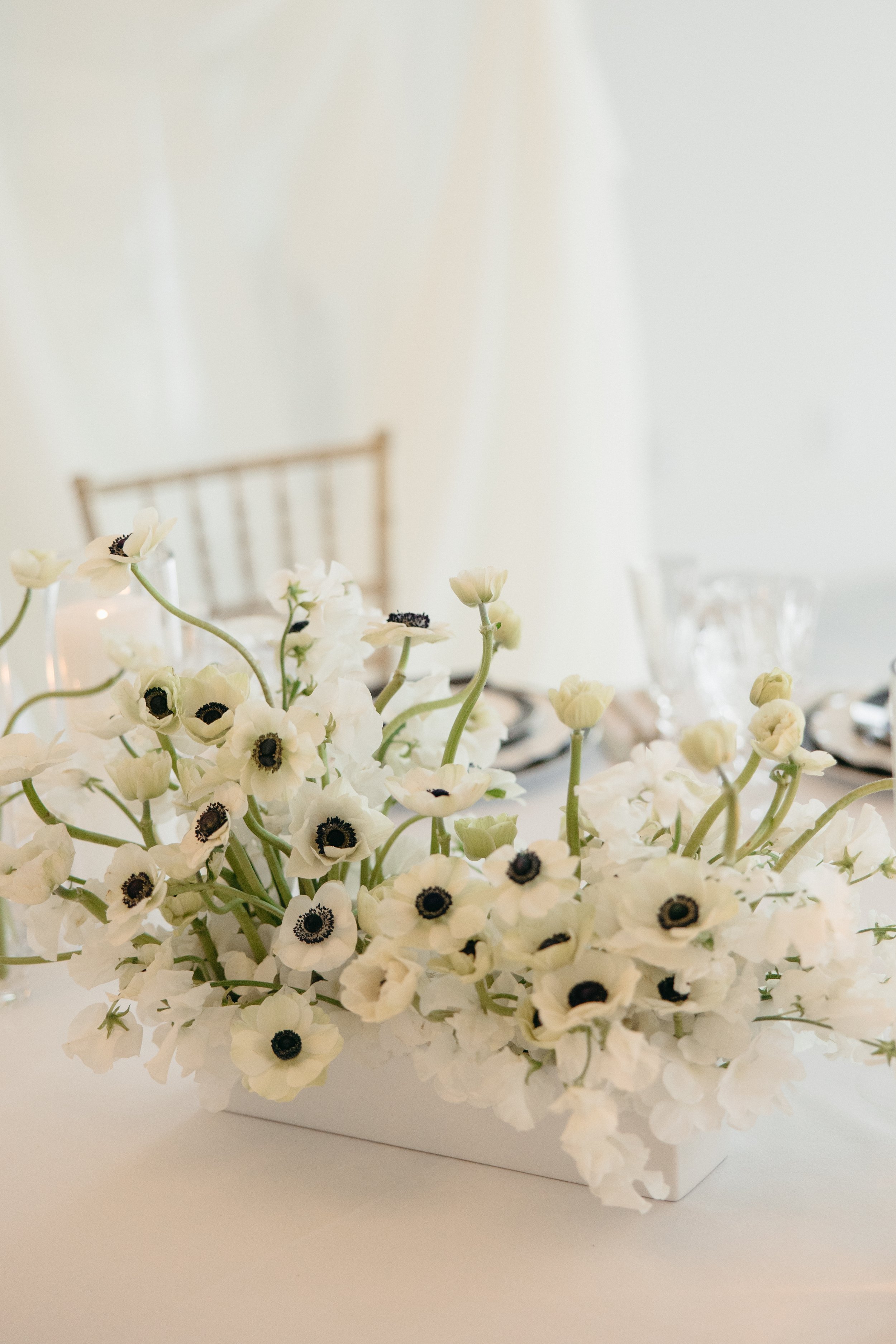 Videre-Estate-Austin-Texas-Wedding-Photographer-Dana-Harel-Design-Kentucky-Derby-Black-White-Attire-Christian-Louboutin-Minimal-Florals-Drapery-Romantic-Classy-Luxury-Editorial-Film-Candid-Documentary-056.jpg