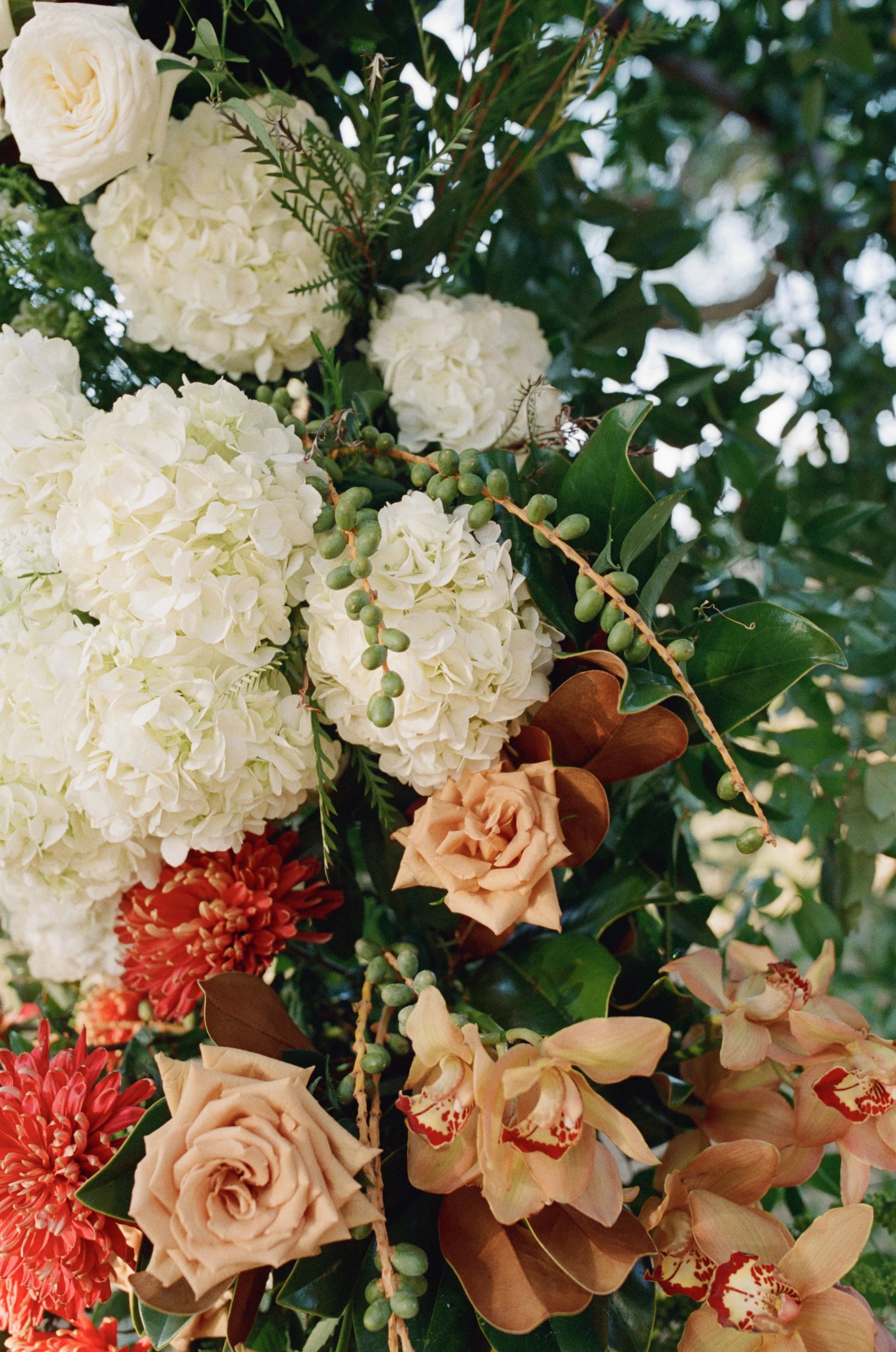 Wedding ceremony under oaks at Camp Lucy Sacred Oaks, Dripping Springs TX — Kristin Cattered Events, film photography by Lauren Nicole