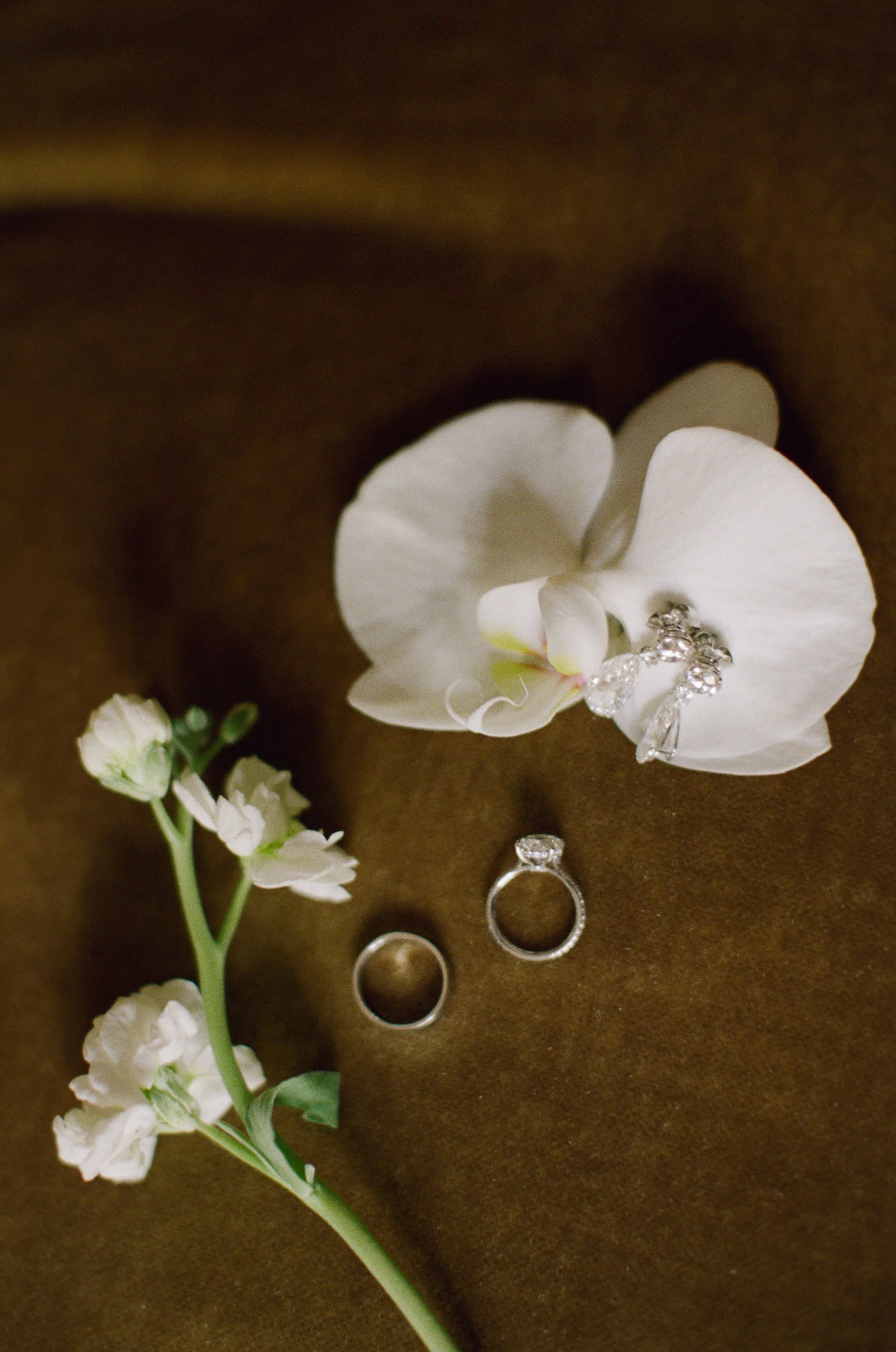 Commodore-Perry-Estate-Austin-Texas-Elopement-Photographer-Chapel-Dulcinea-Chinese-Taiwanese-Multicultural-Jimmy-Choo-Italian-Inspired-Luxury-High-End-Editorial-Hill-Country-Auberge-Resort-Hyde-Park-Film-Candid-Documentary-Photos-28.jpg