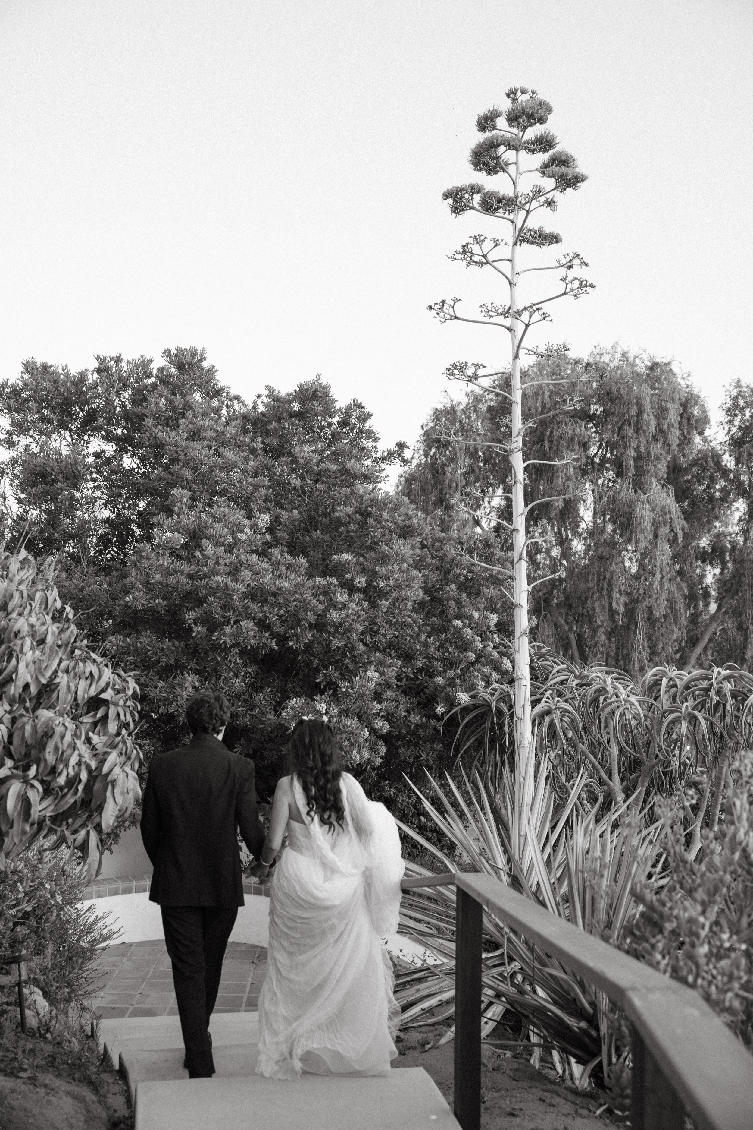 Jeune-perche-wedding-photographer-san-diego-fallbrook-california-documentary-luxury-editorial-elevated-fashion-whimsical-timeless-candid-film-analog-high-end-effortless-wedding-photos-215.jpg