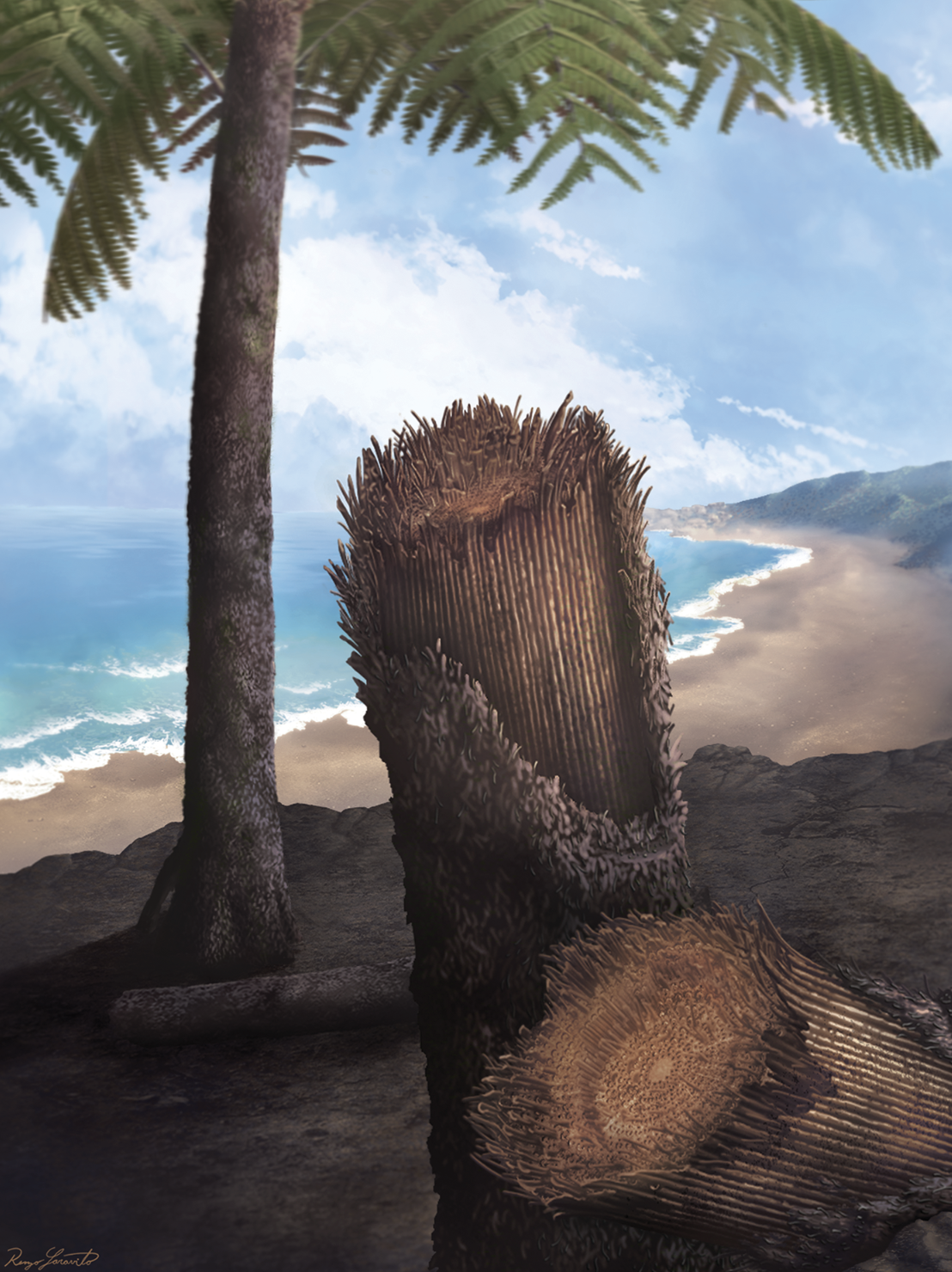 fern.png