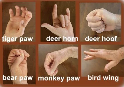 Wild Hand Movement Simple Hand Qigong — Josie Weaver