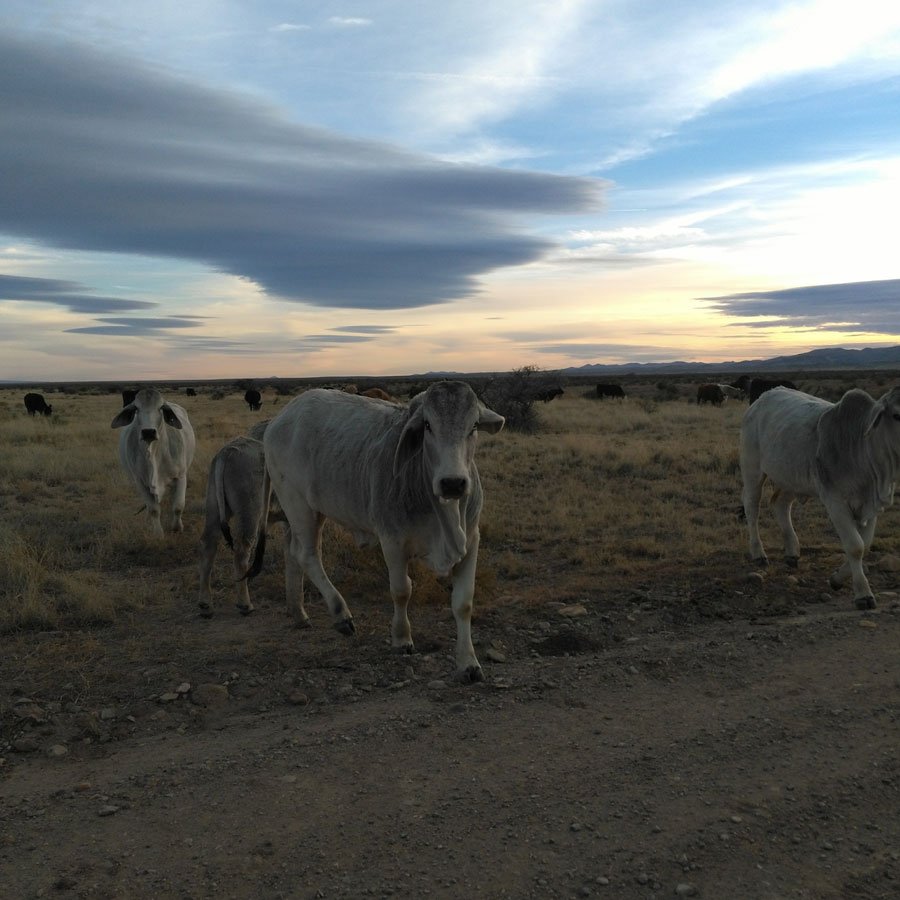 new-mexico-interesting-scenery.jpg