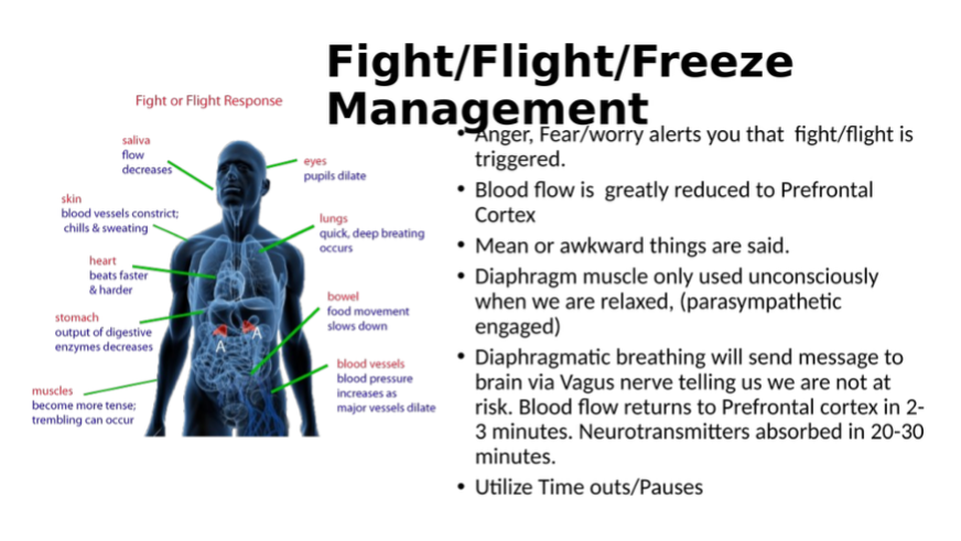Slide describing the fight/flight/freeze response. Describes diaphragmatic breathing as helpful in reengaging with the prefrontal cortex. Also highlights utilizing time outs and pauses.