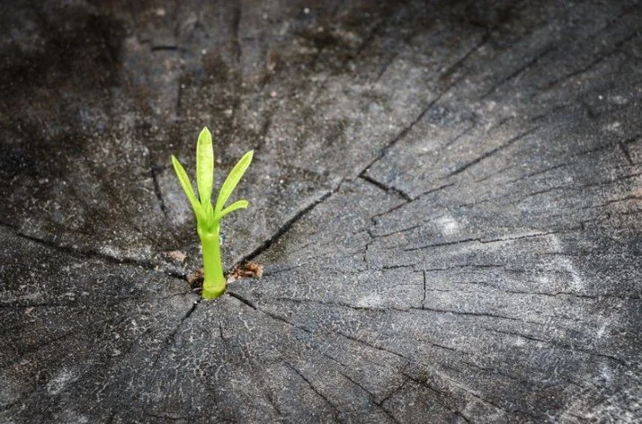 What Looks Finished Isn’t Always Over