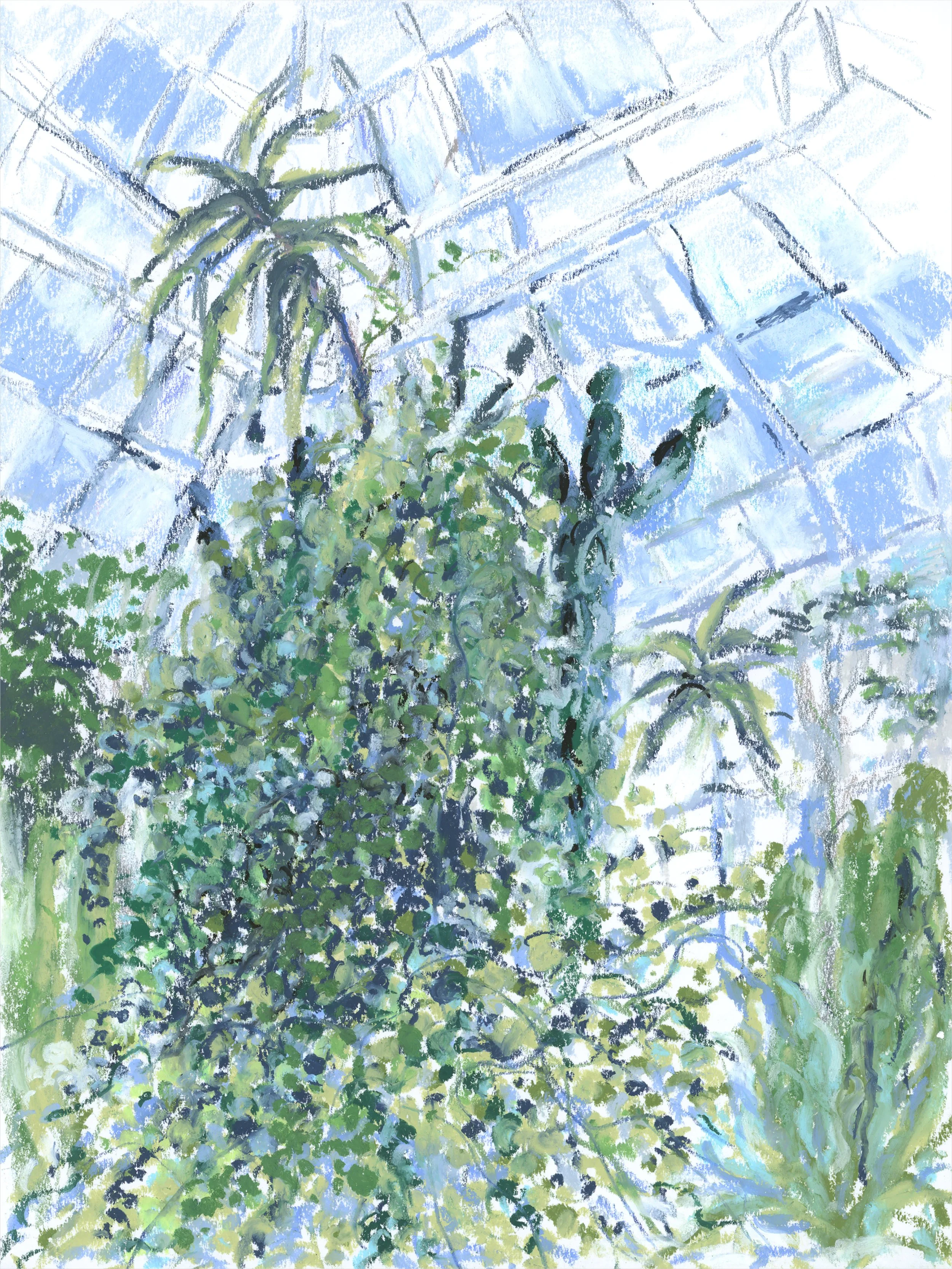 Botanical Garden: Desert