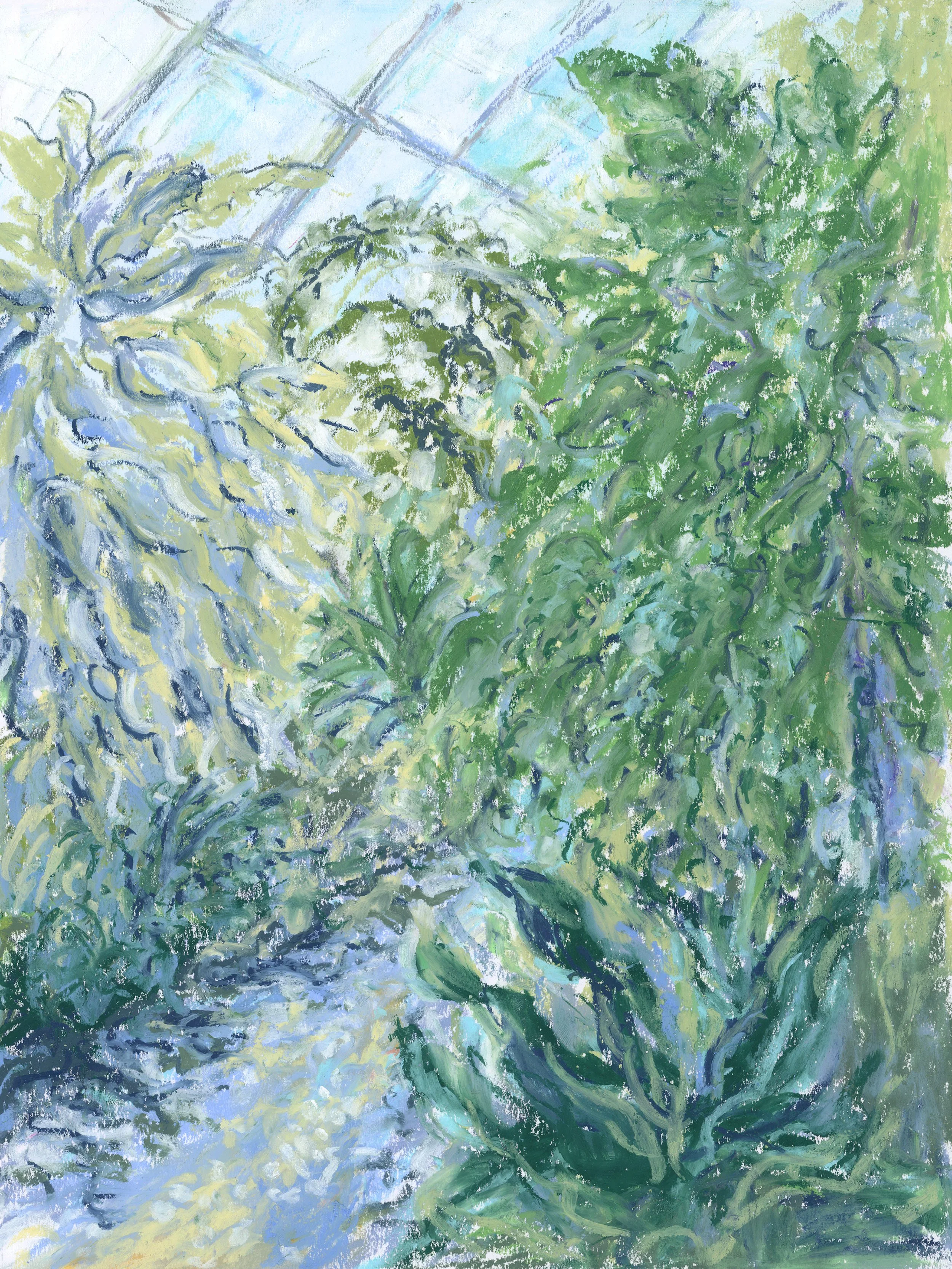 Botanical Garden: Rainforest