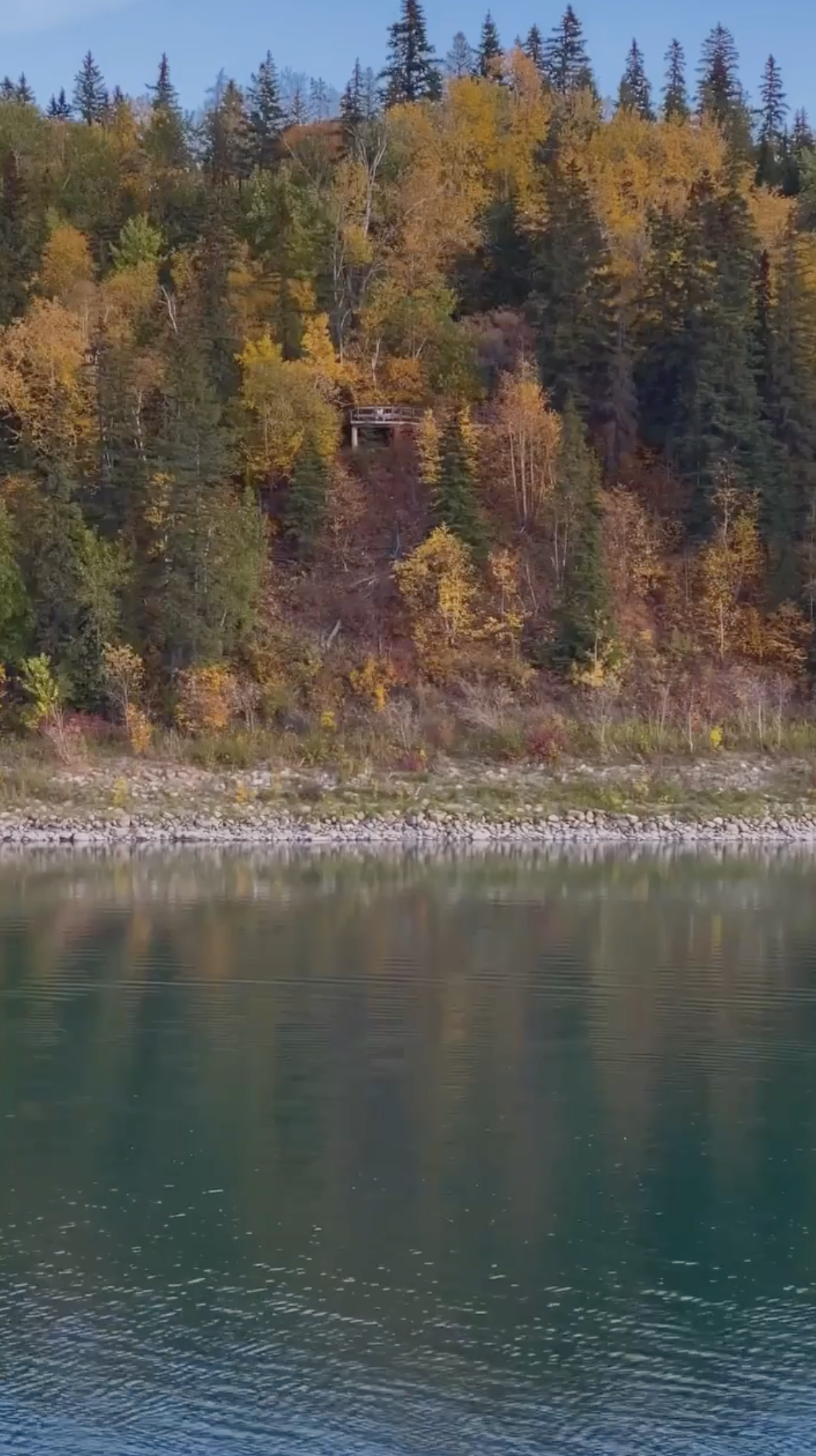 Screenshot 2023-06-09 at 12.36.14 AM.png