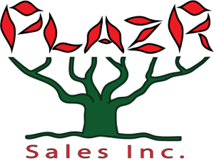 Plazr Sales Inc.