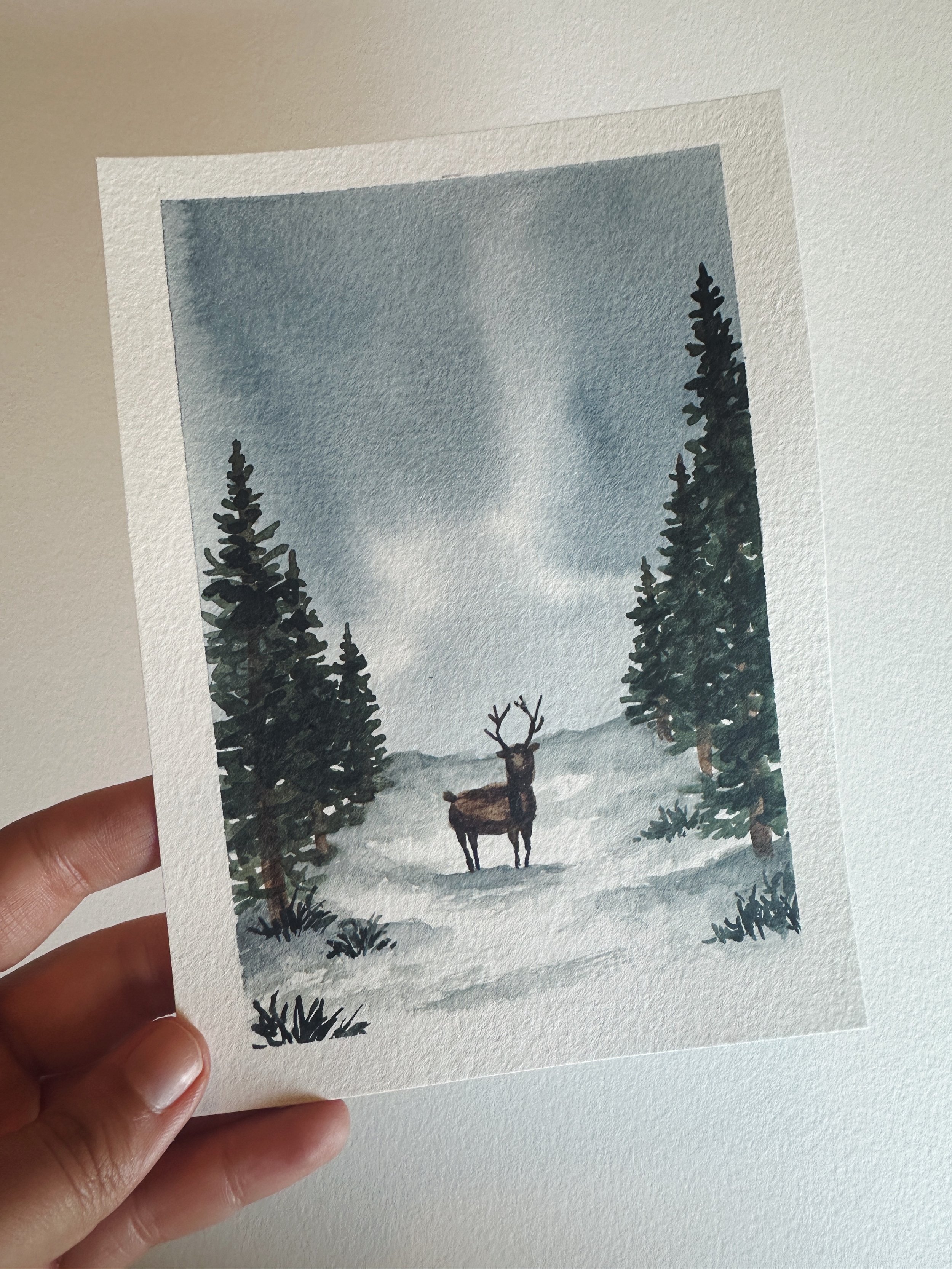 Deer in Snow Bank
