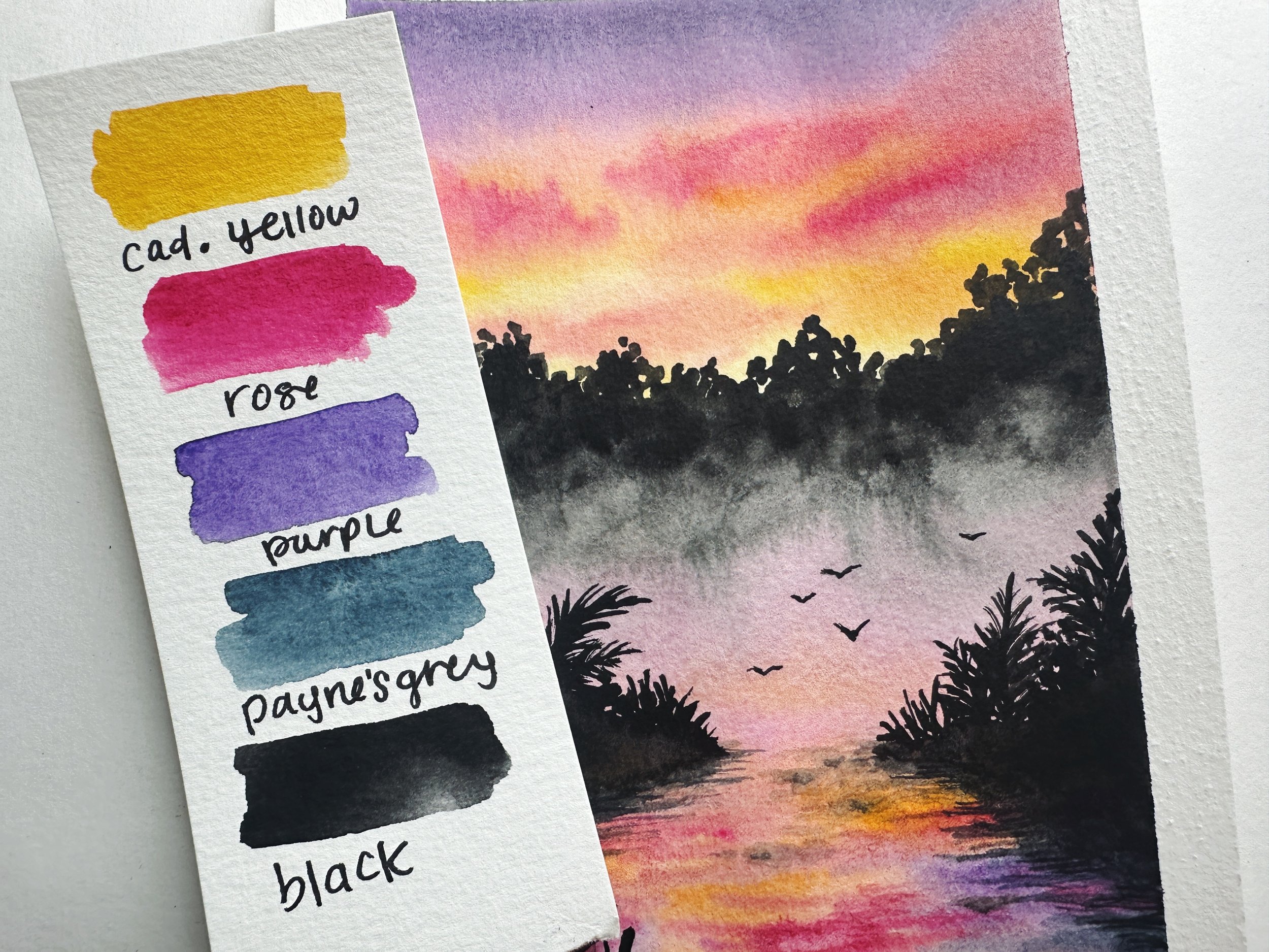 Everglades 2.jpeg