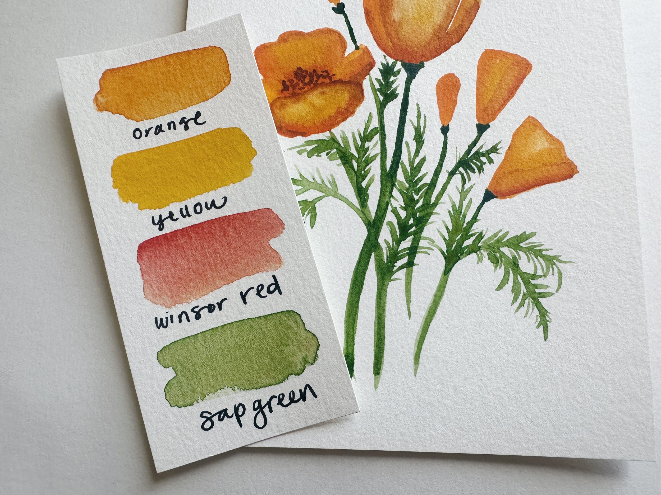 California Poppy Thumbnail 2.jpeg