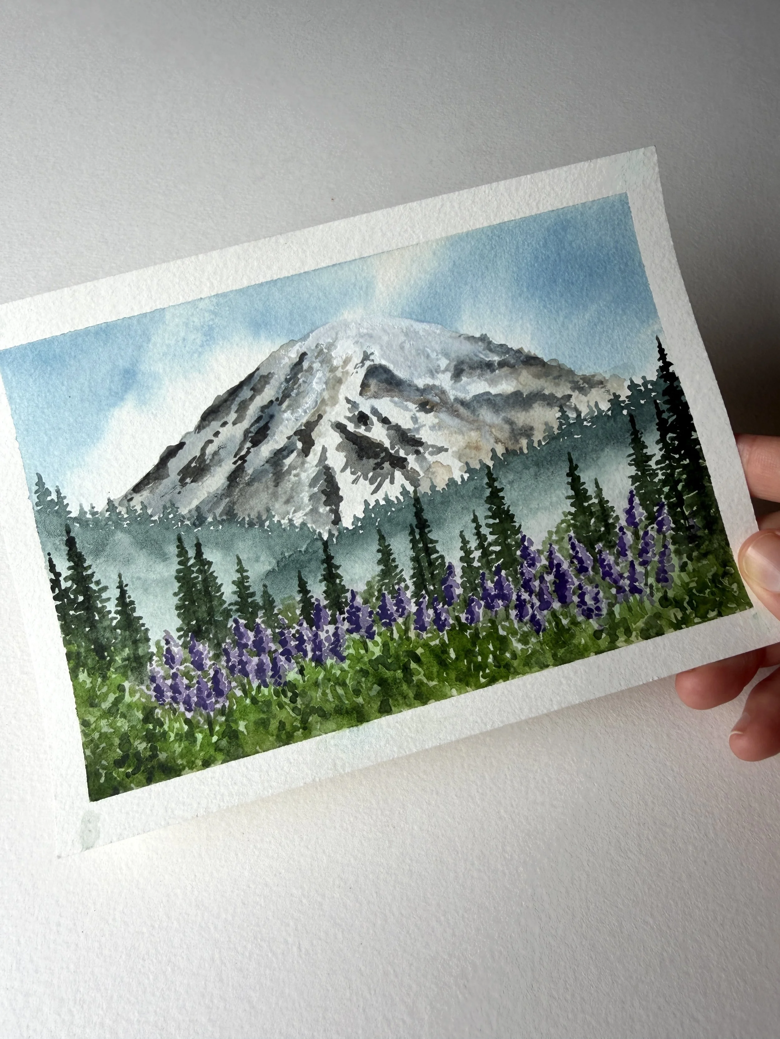 Mount Rainier National Park
