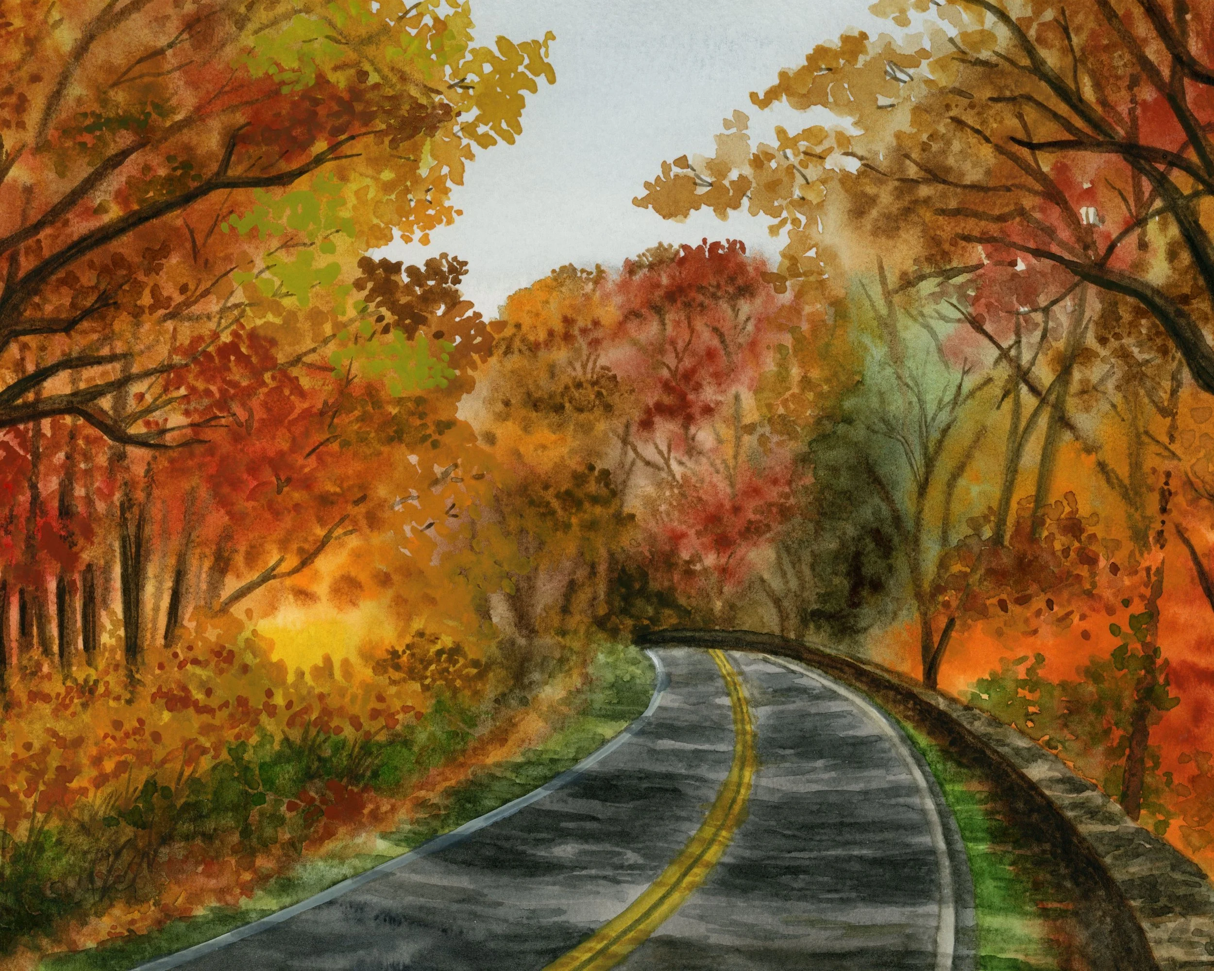 Shenandoah National Park.jpg