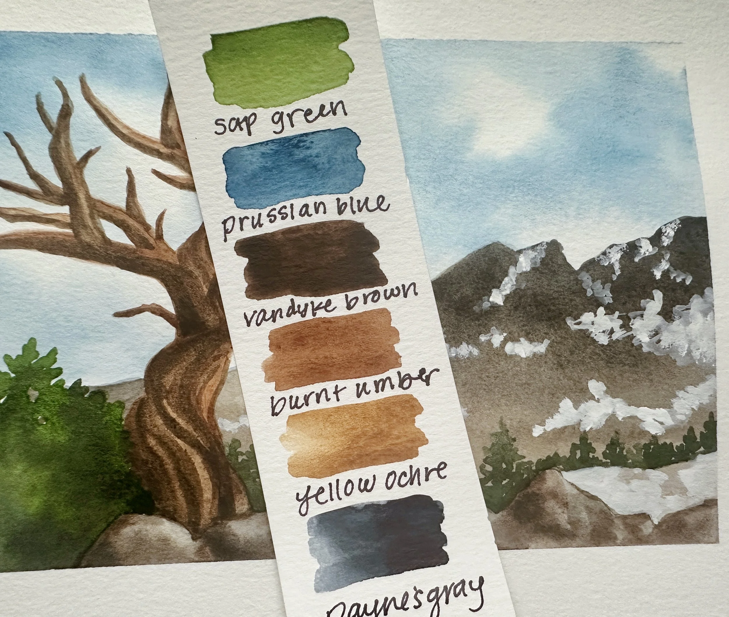 FullSizeRender_VSCO (1).jpg