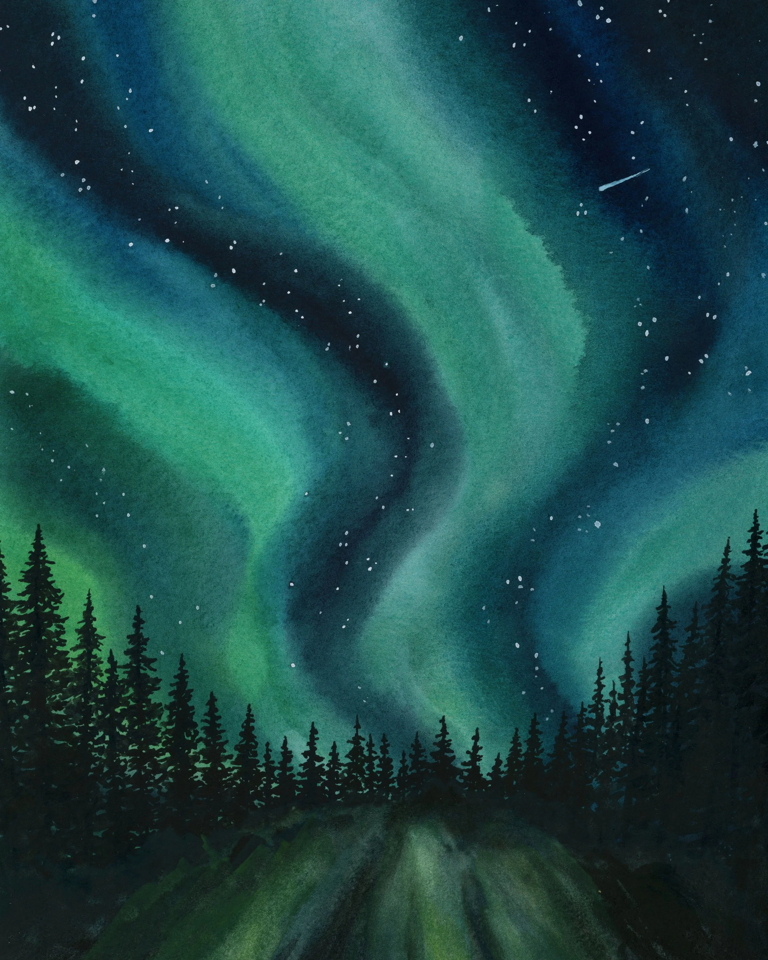 Denali National Park.jpg