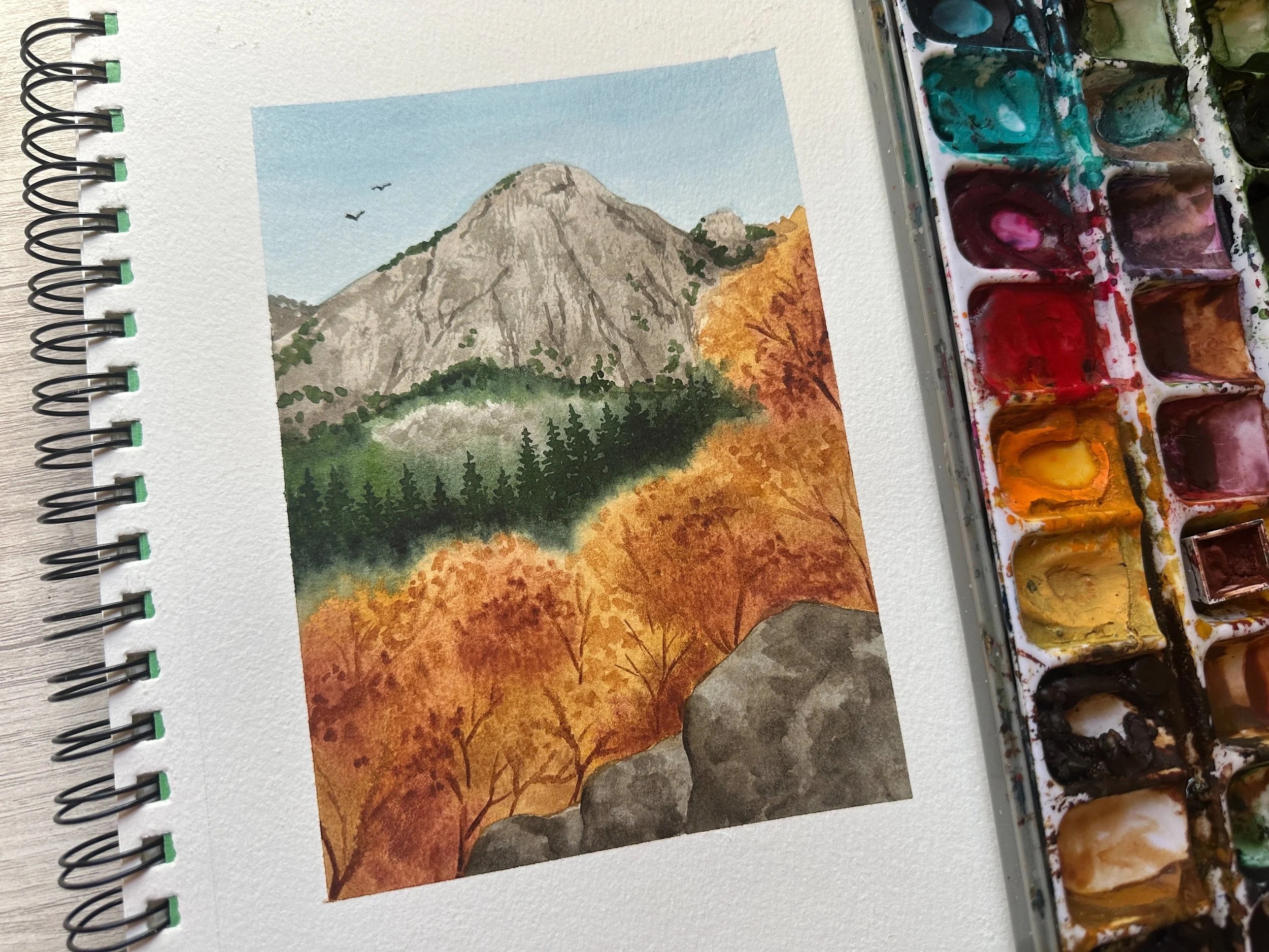 Kings Canyon Photo.jpeg