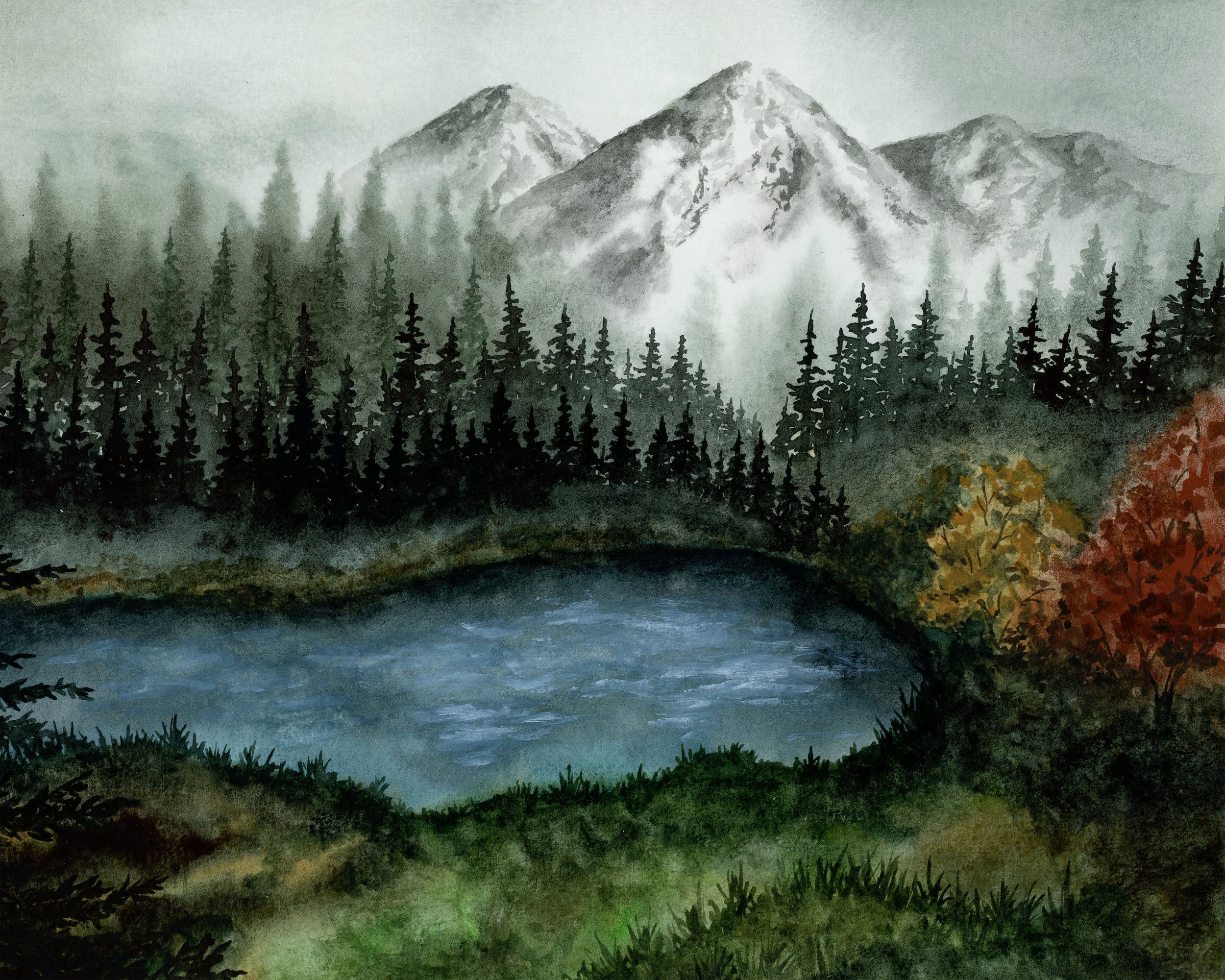 Olympic Hurricane Ridge.jpg