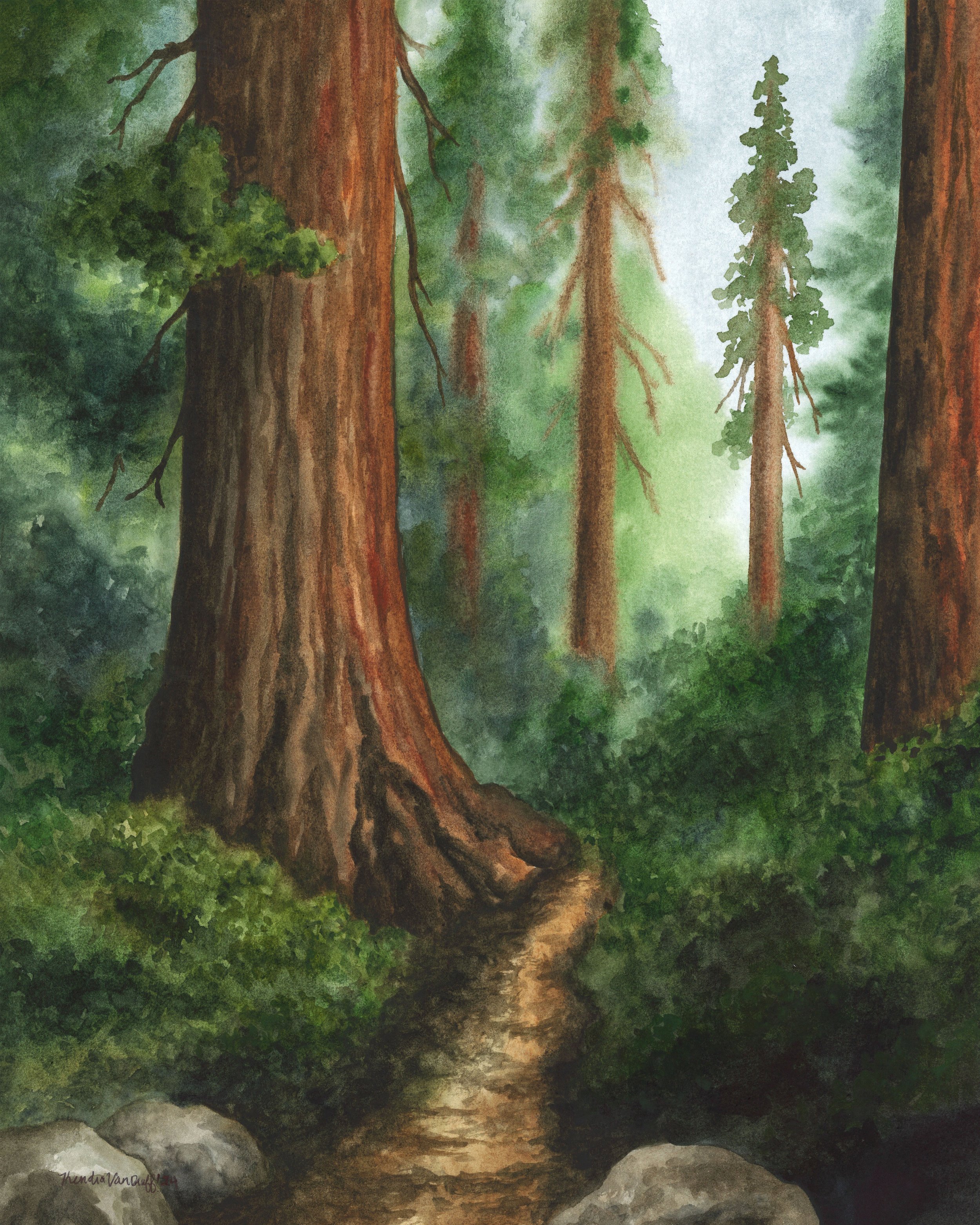 Sequoia Forest Design 1.jpg