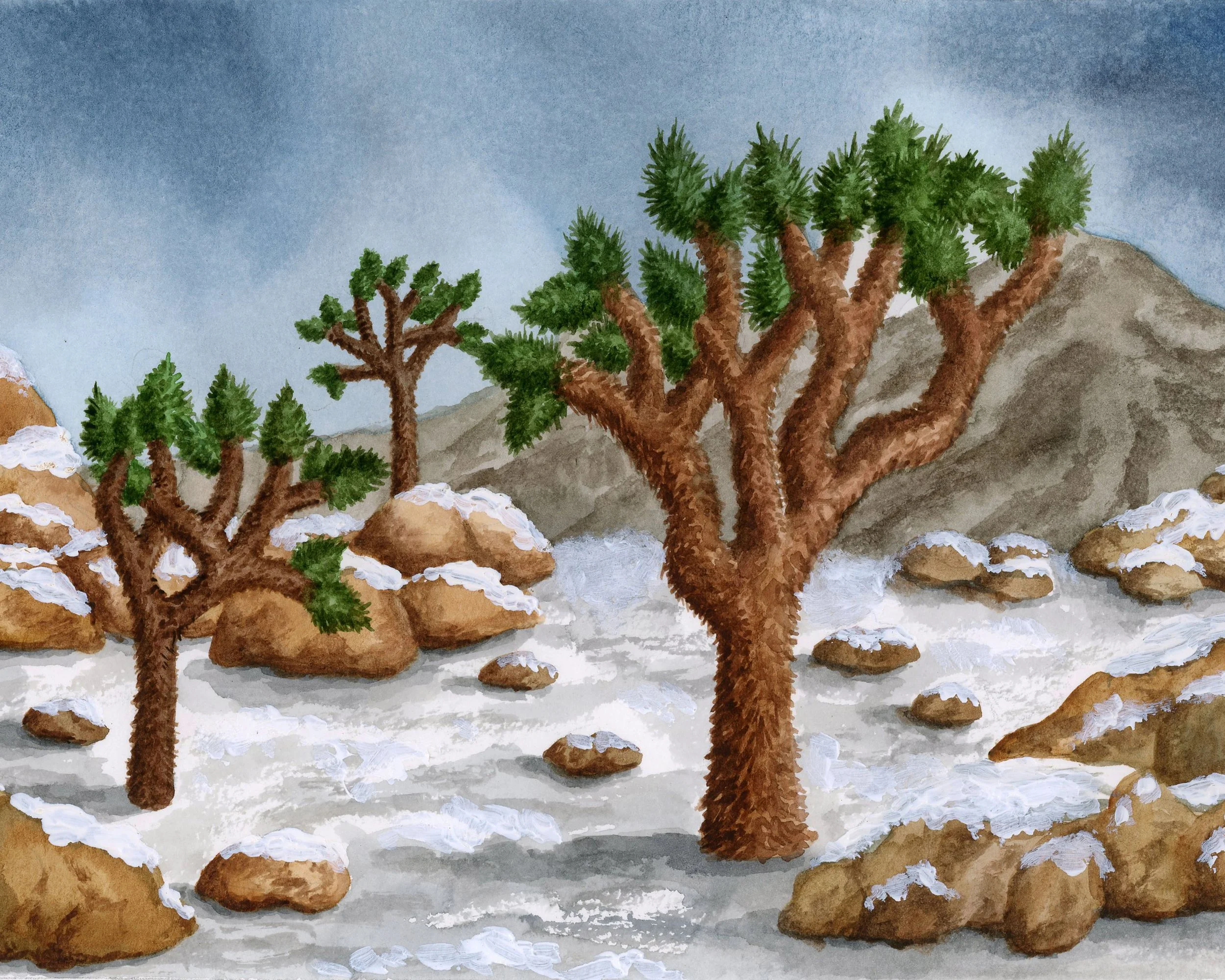 Joshua Tree Winter.jpg