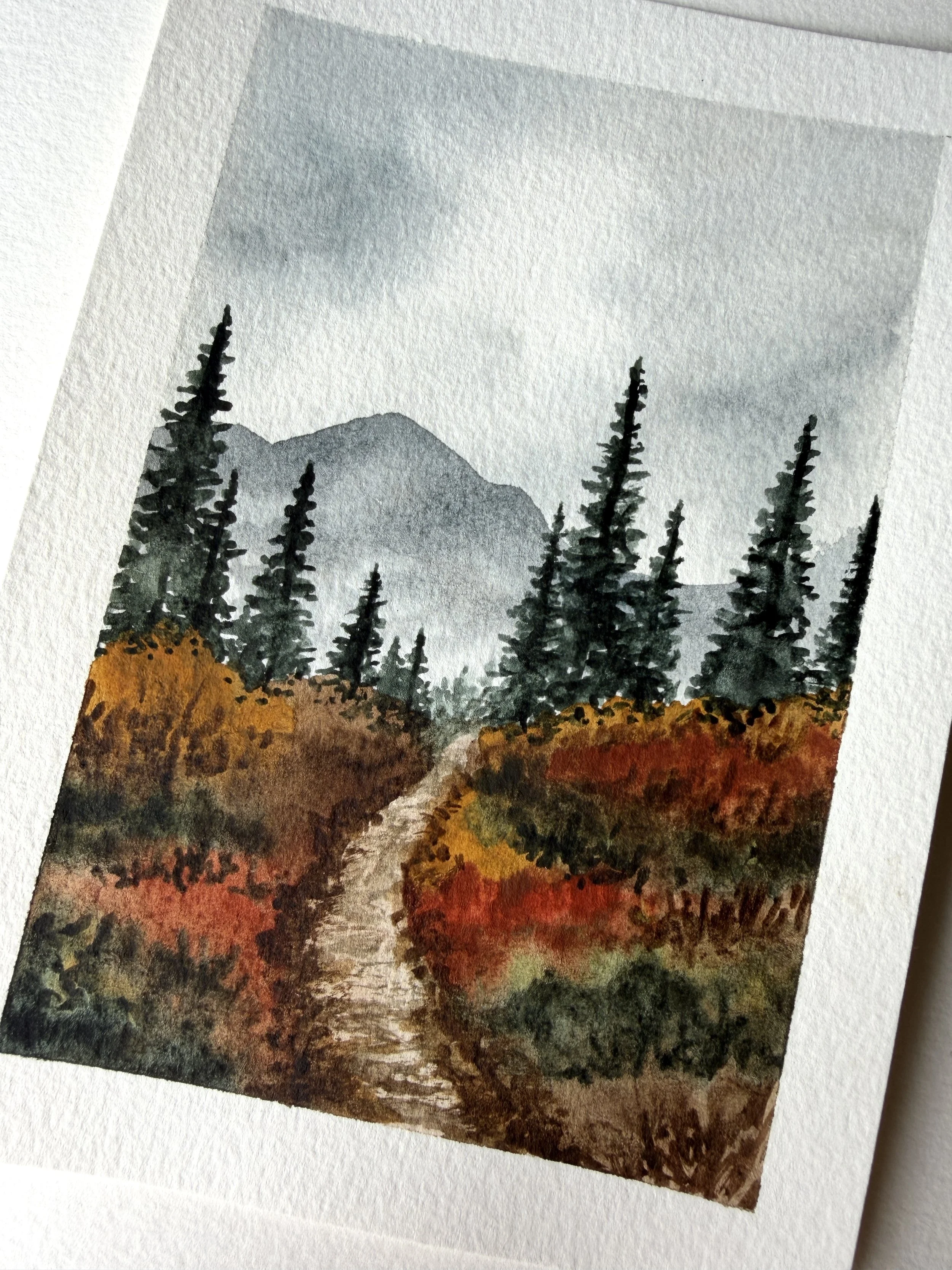 Pacific Northwest Forest in the Fall | Hiking Trail