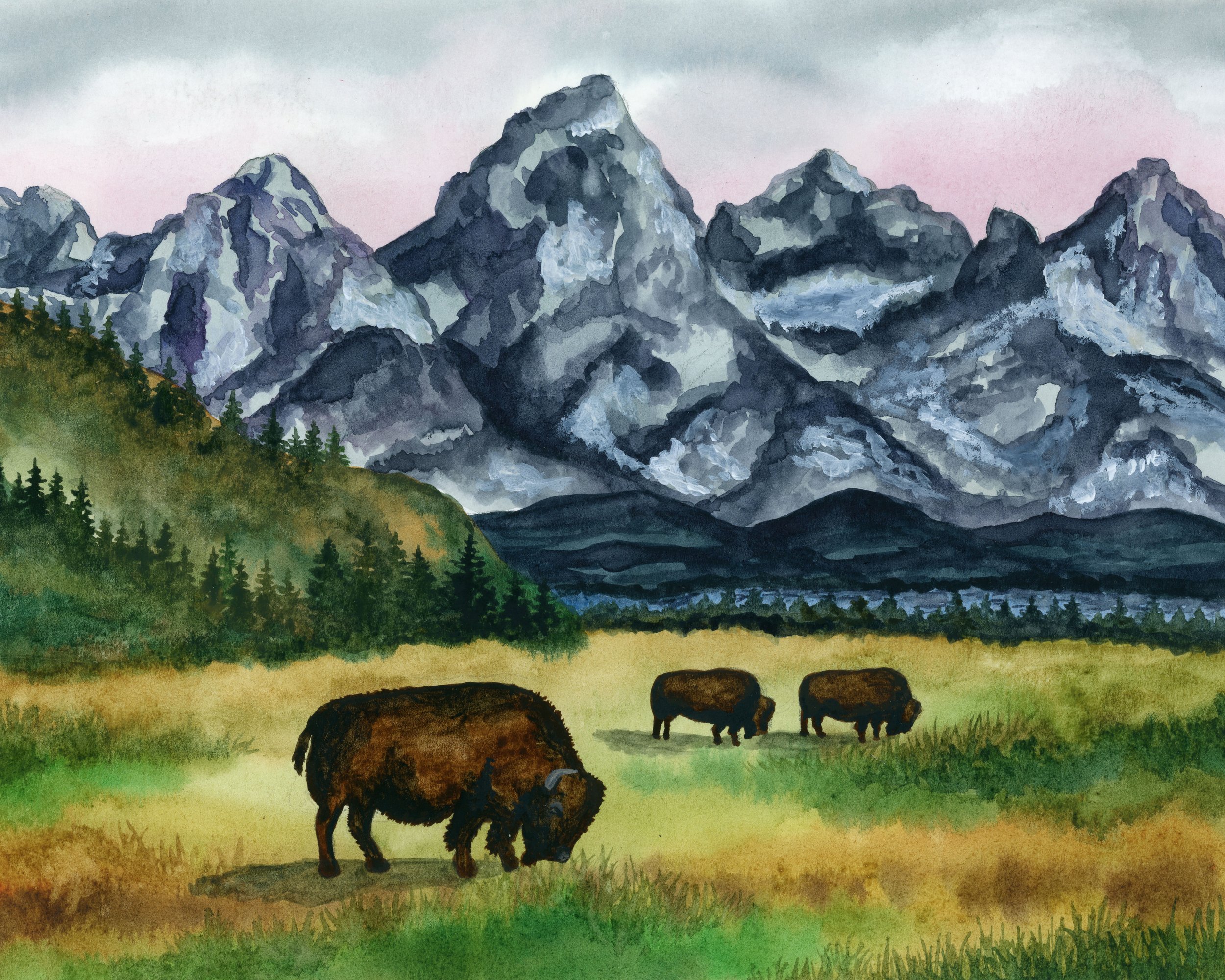 Grand Tetons National Park .jpg