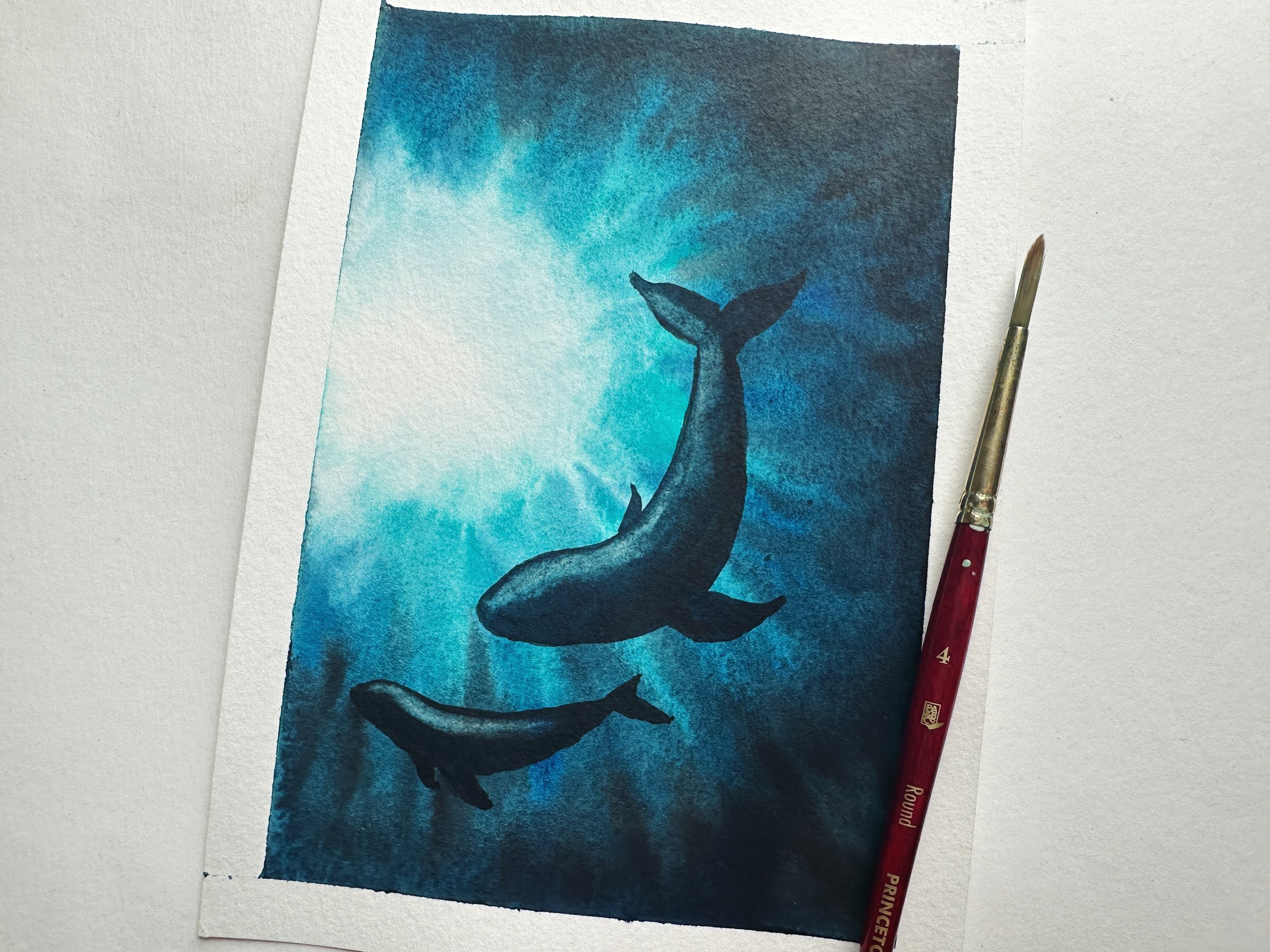 Whale 1.jpeg