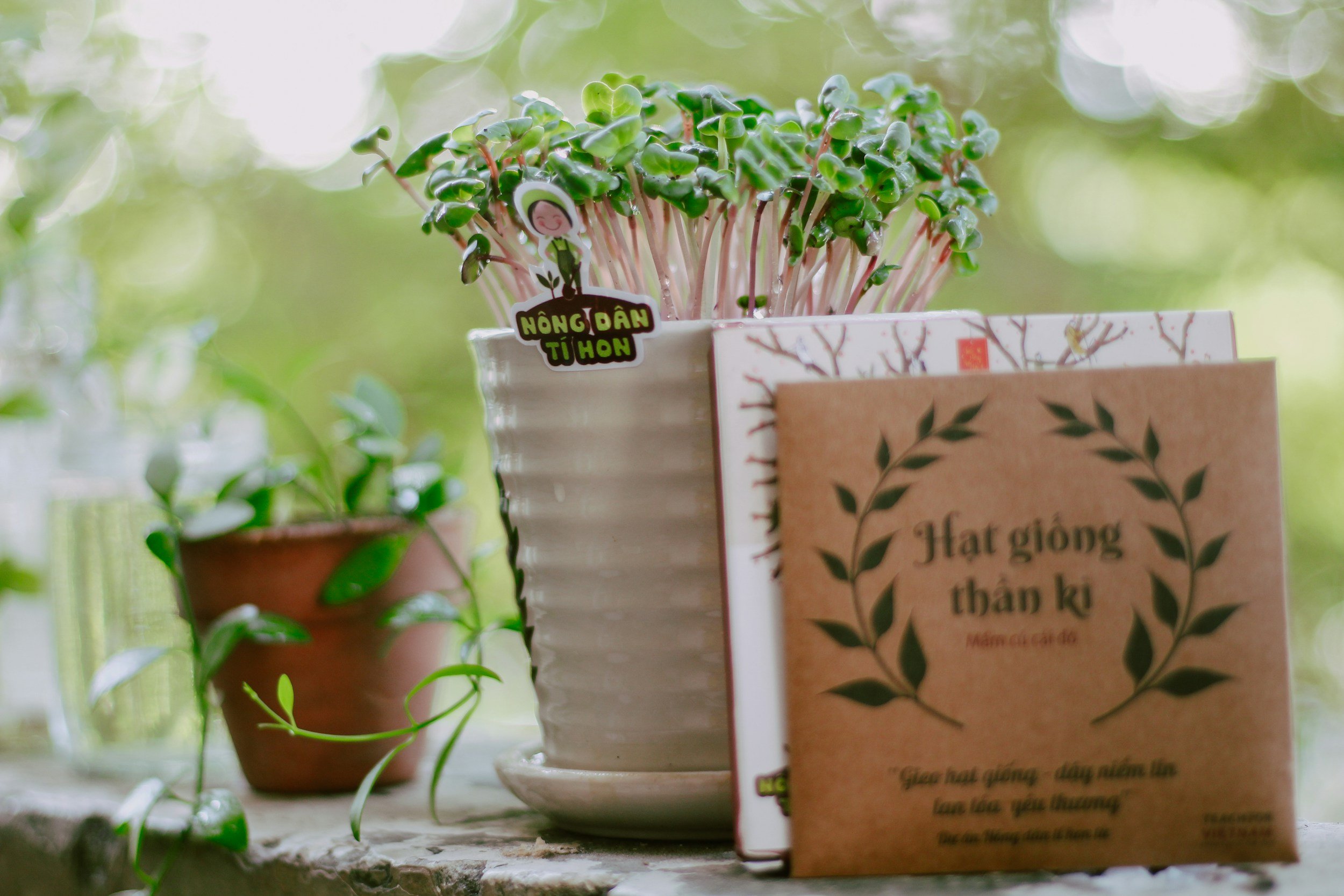 A ceramic pot with seedlings and a small sign in Vietnamese that reads 'Nông Dân Tí Hon,' along with a smaller terracotta pot with trailing green plant, and two books in front, one titled 'Hạt giống thần kỳ' with a leafy border design, on a rustic surface with a blurred green background.