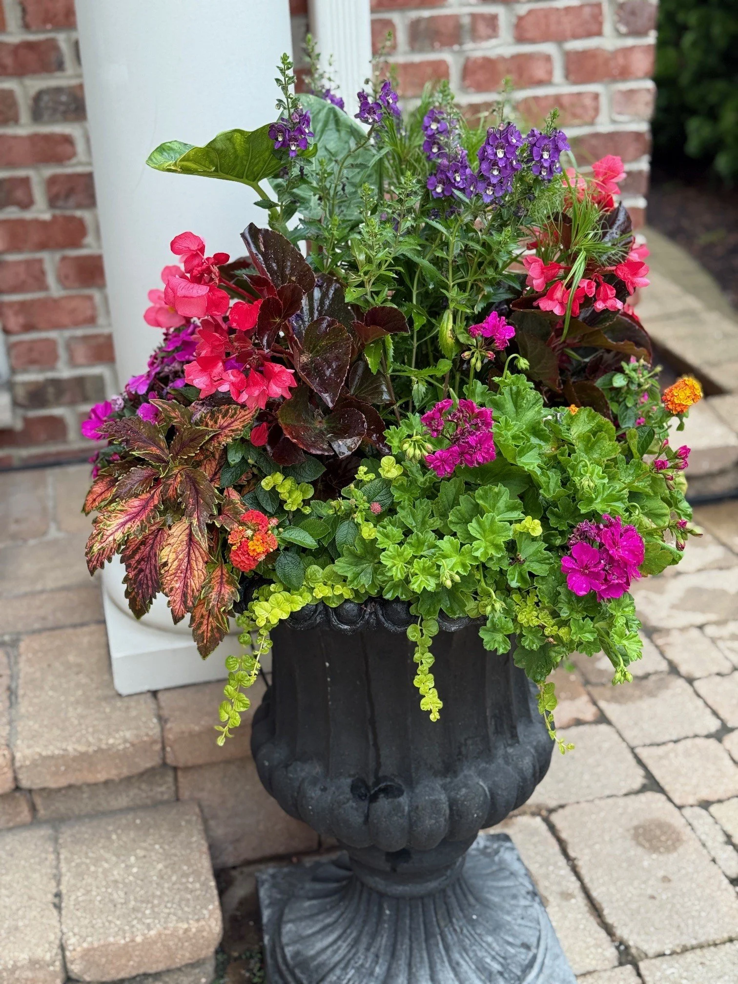 dd185c94-6bc7-4365-9362-392264efd5c4_Lindsay Buchalski.jpg