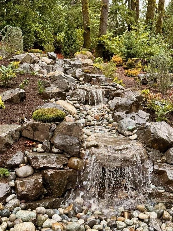 Carolyn Gutierrez_2.jpg