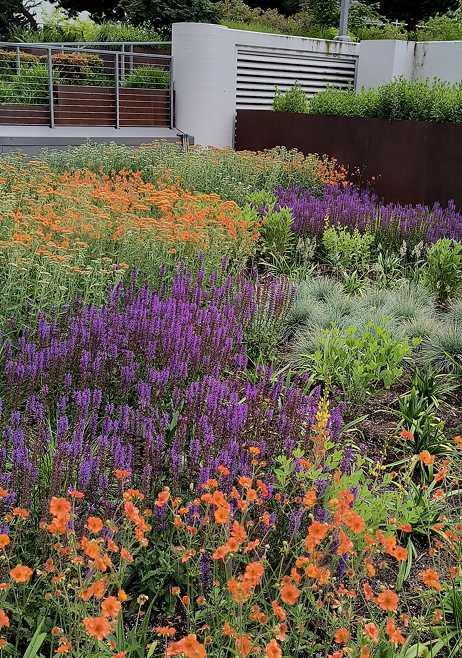 Screenshot 2026-04-22 1419042_McKenzie Adkins.png