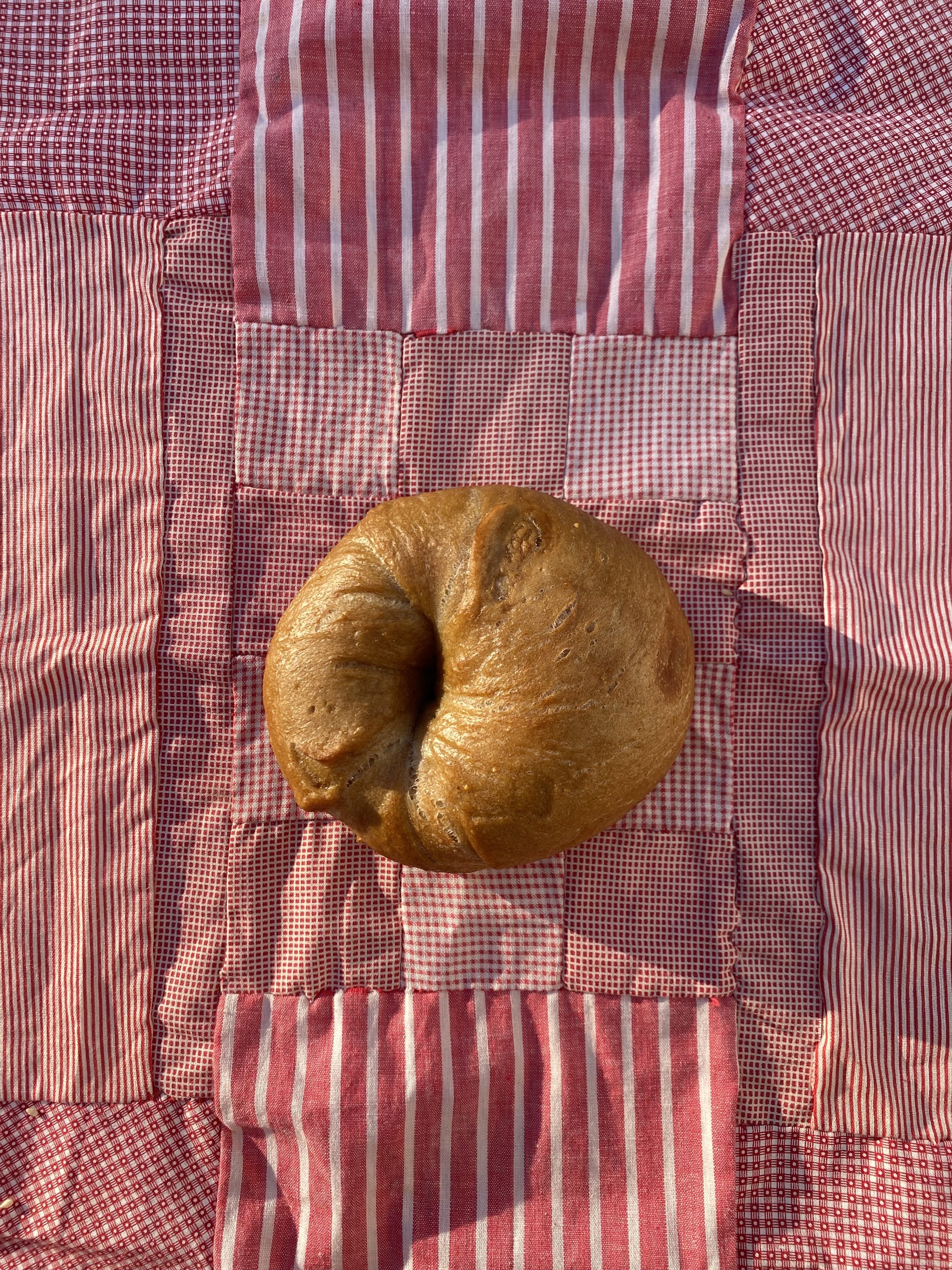 Plain Sourdough Bagel