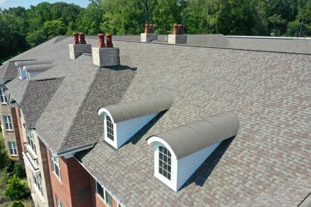 shinroof.png