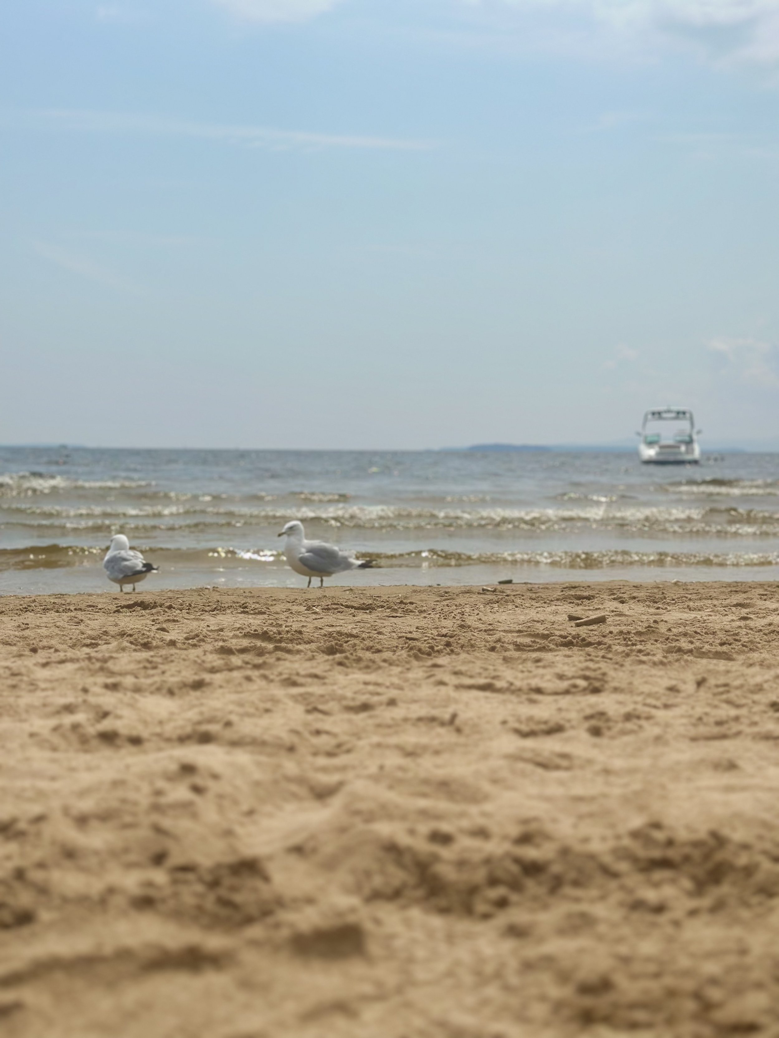 IMG_3243.jpeg