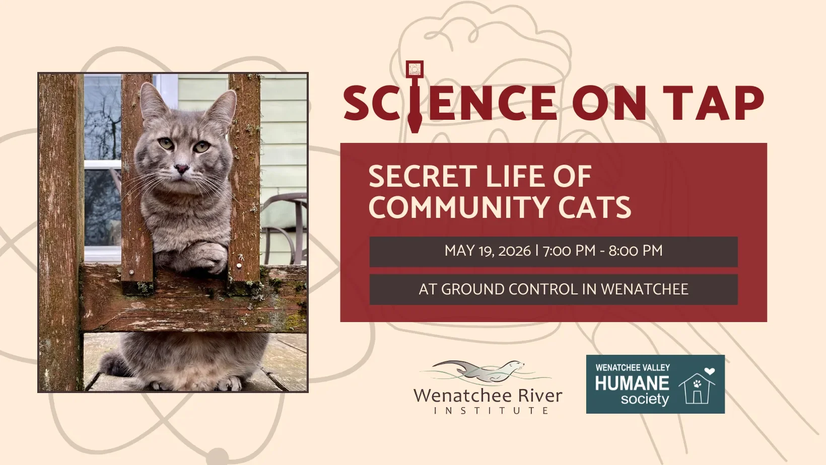 Science on Tap: Secret Life of Community Cats