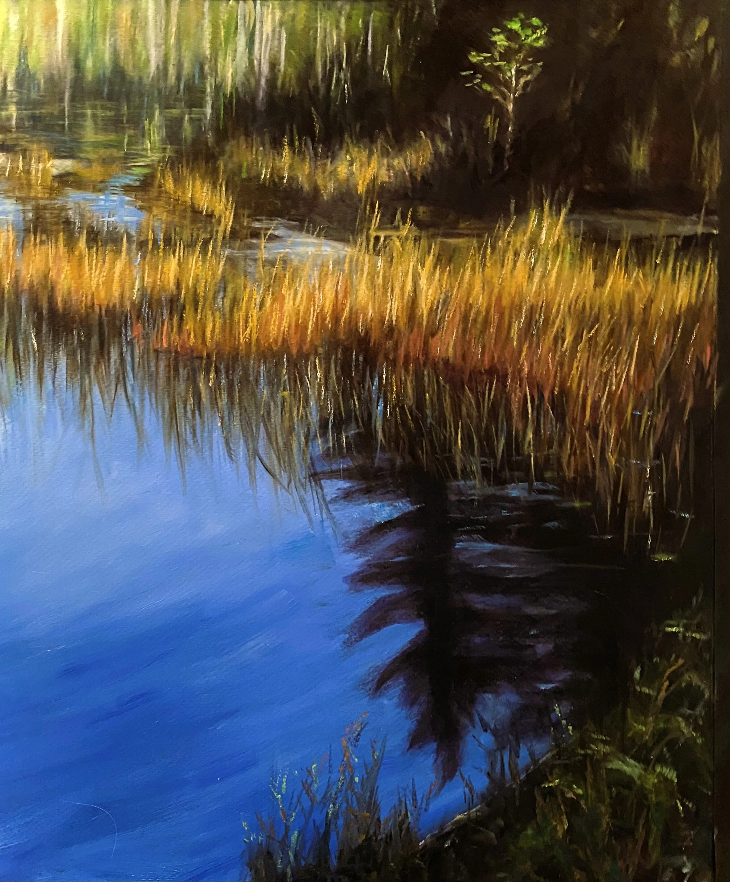 Witch Hole Pond - 20x16 oil on paper 