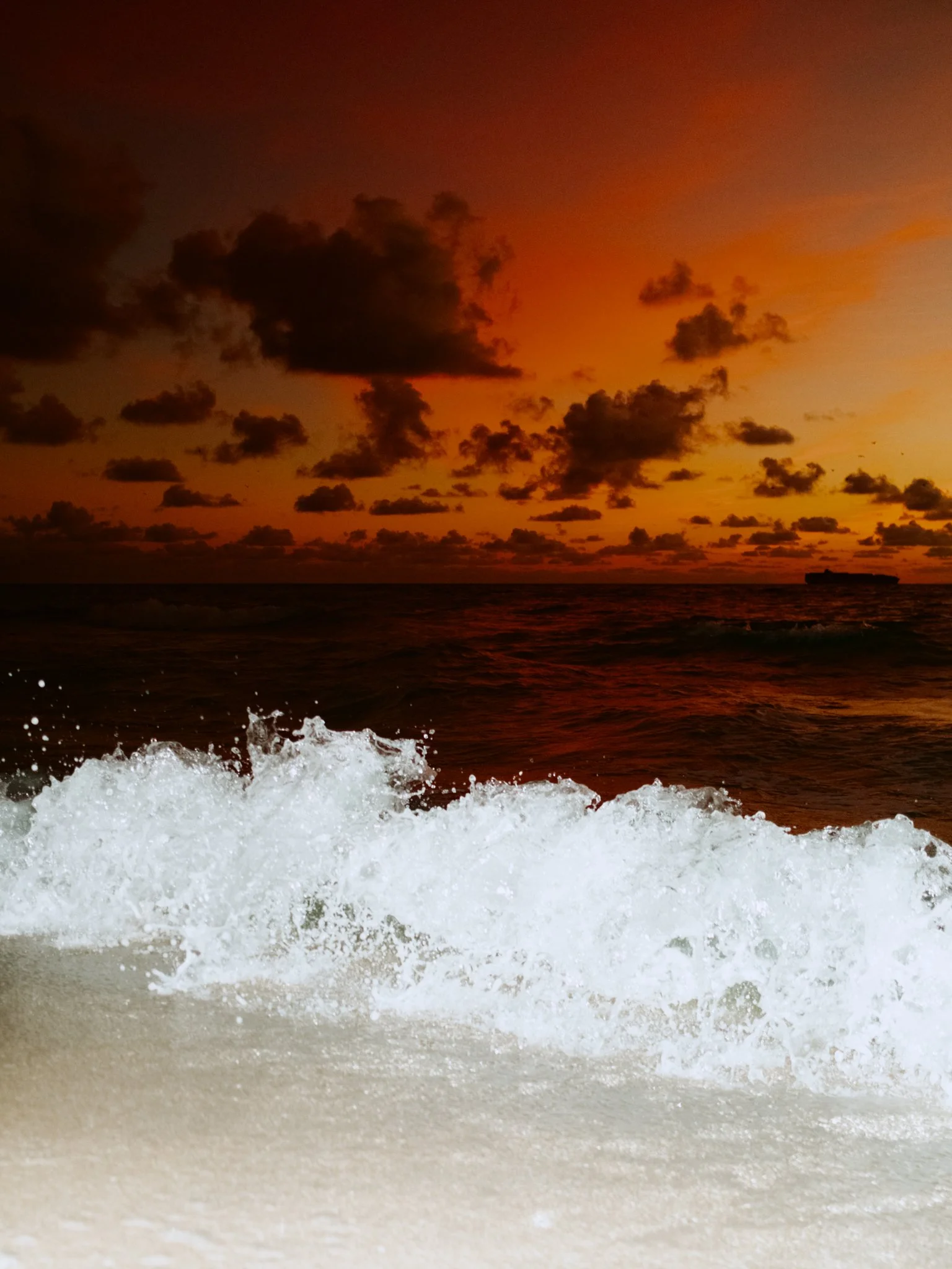 DSCF9676.jpg