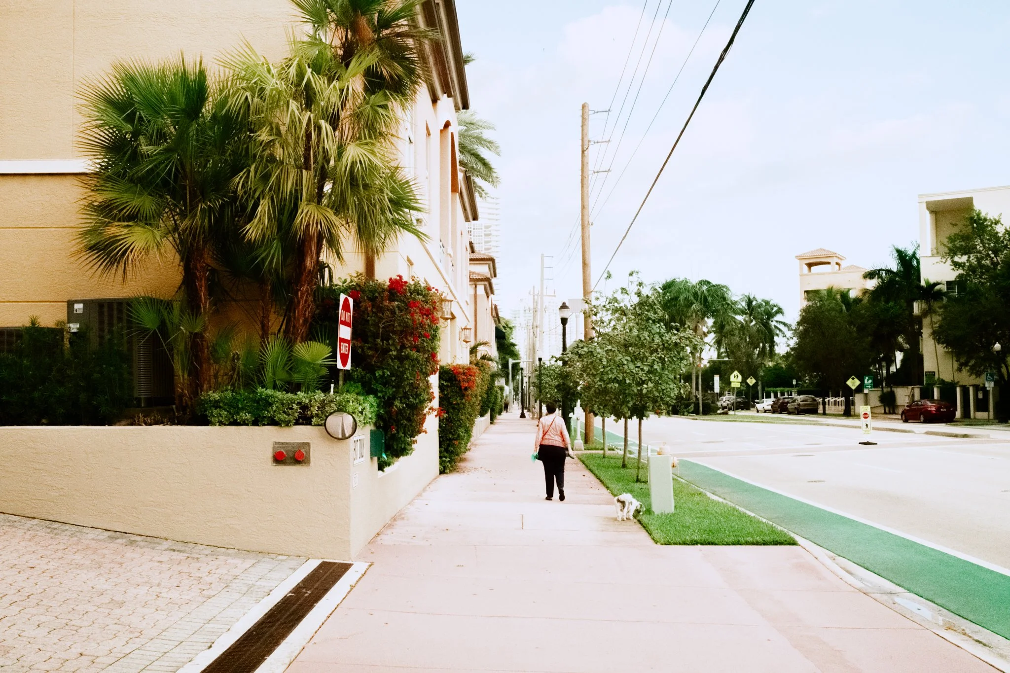 DSCF9538-2.jpg