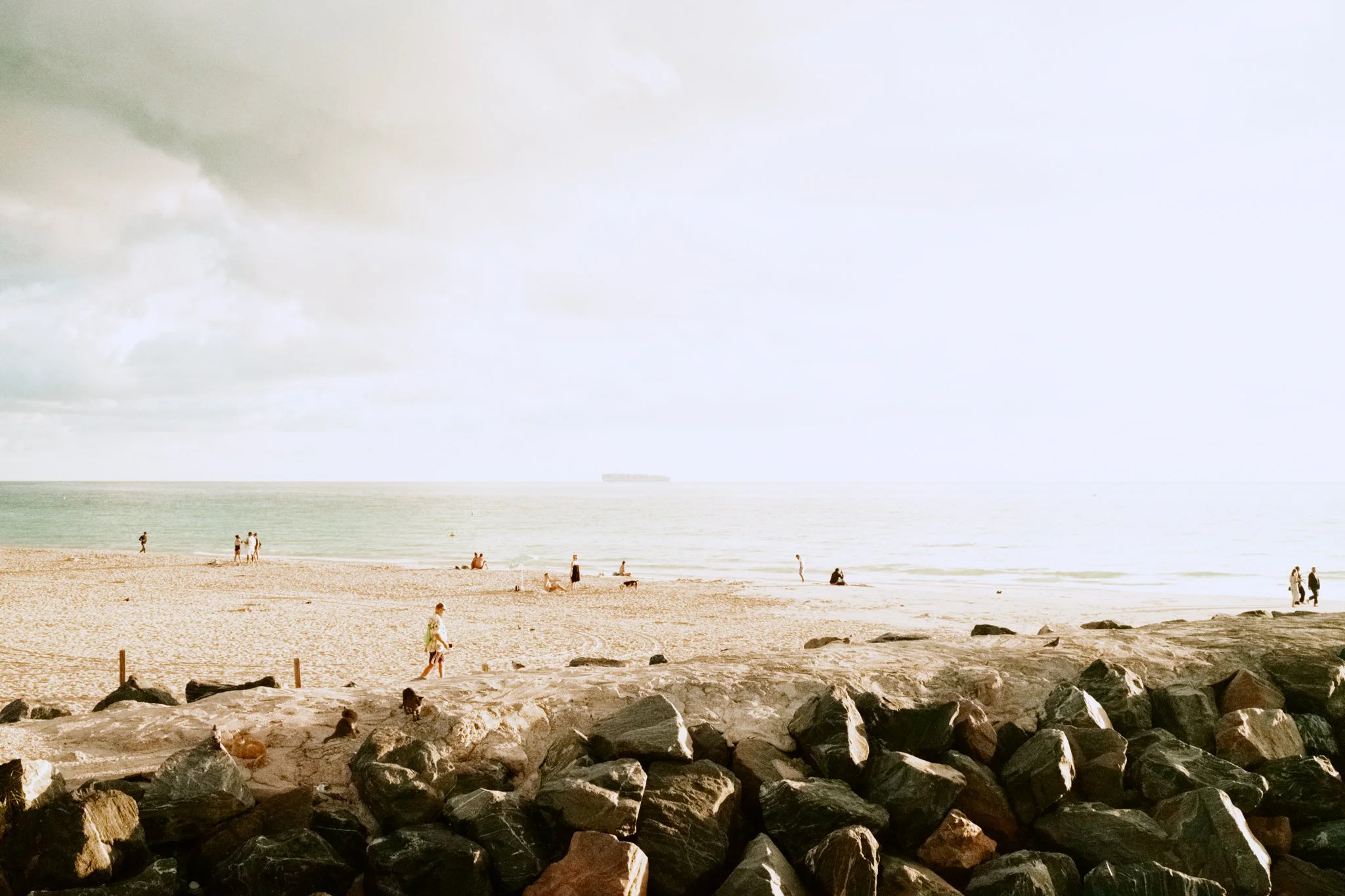 DSCF9526.jpg