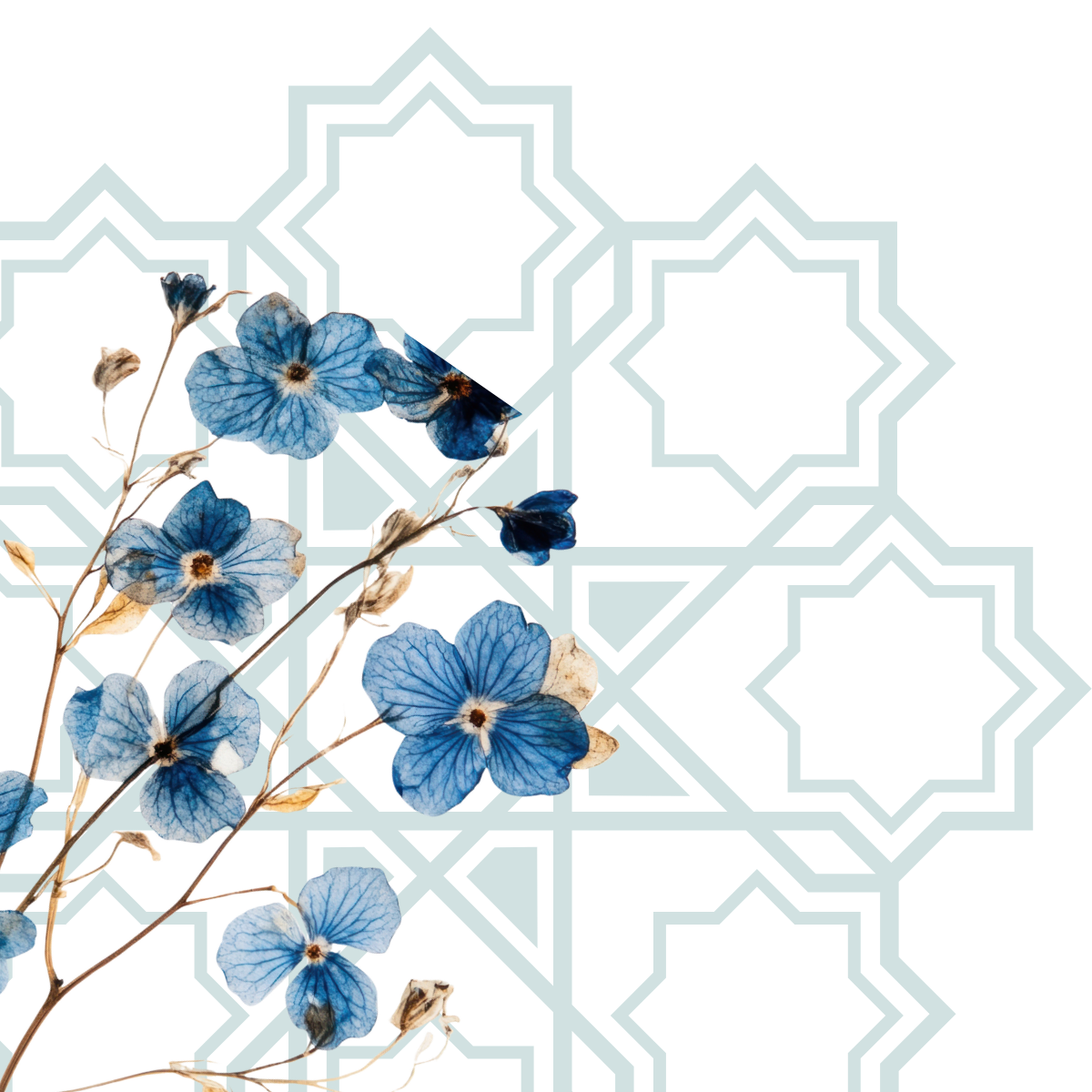 The Essence Of Ramadan Is For All of Us