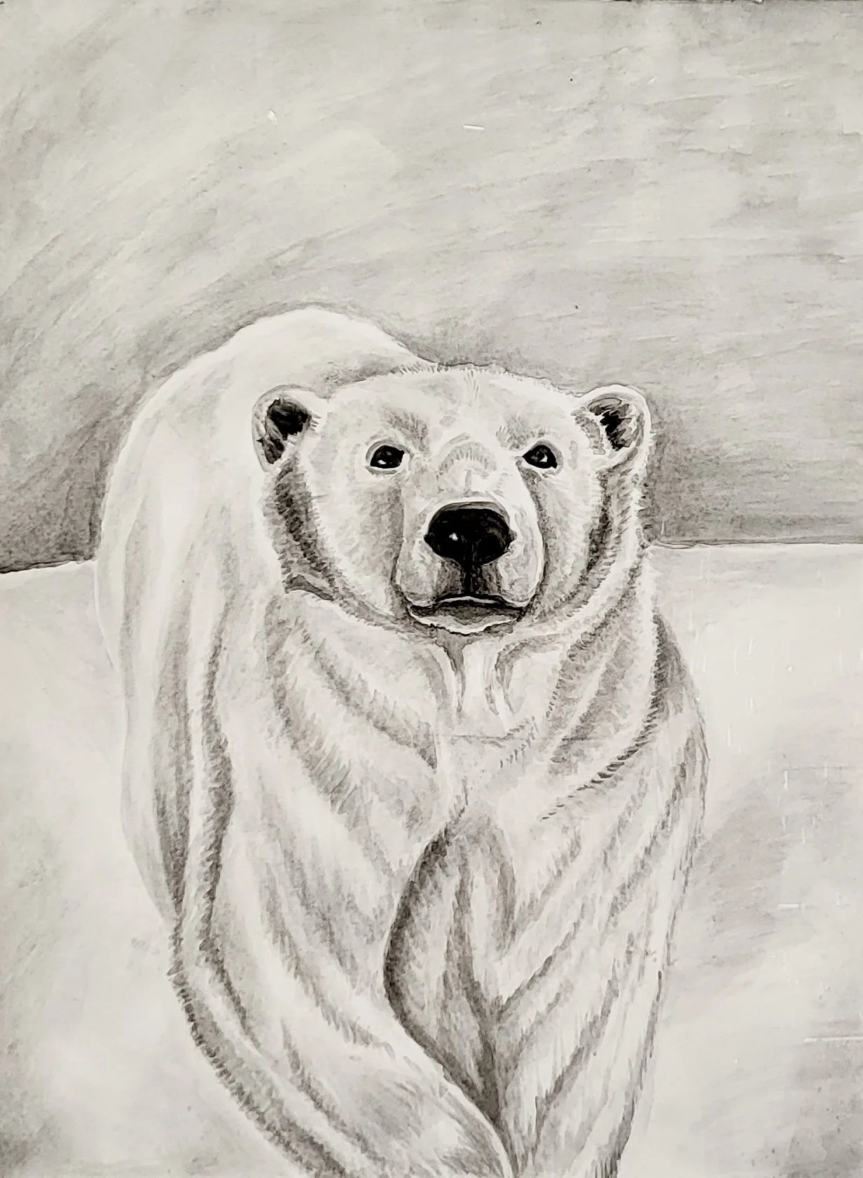 Probert_Gillian_Polar.jpg