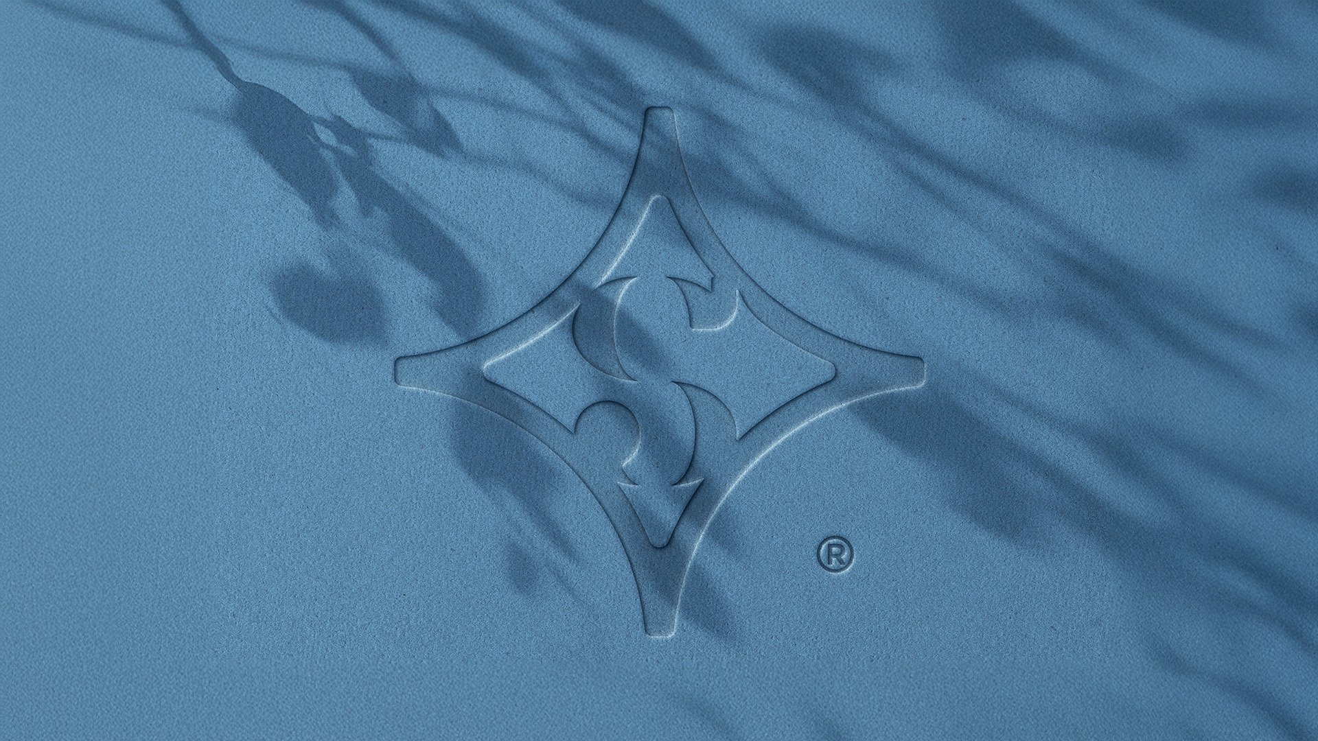 Logo sarbed.jpg