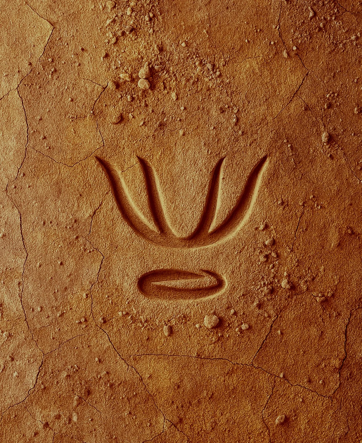 SANTO ATEO-DirtLogo.jpg